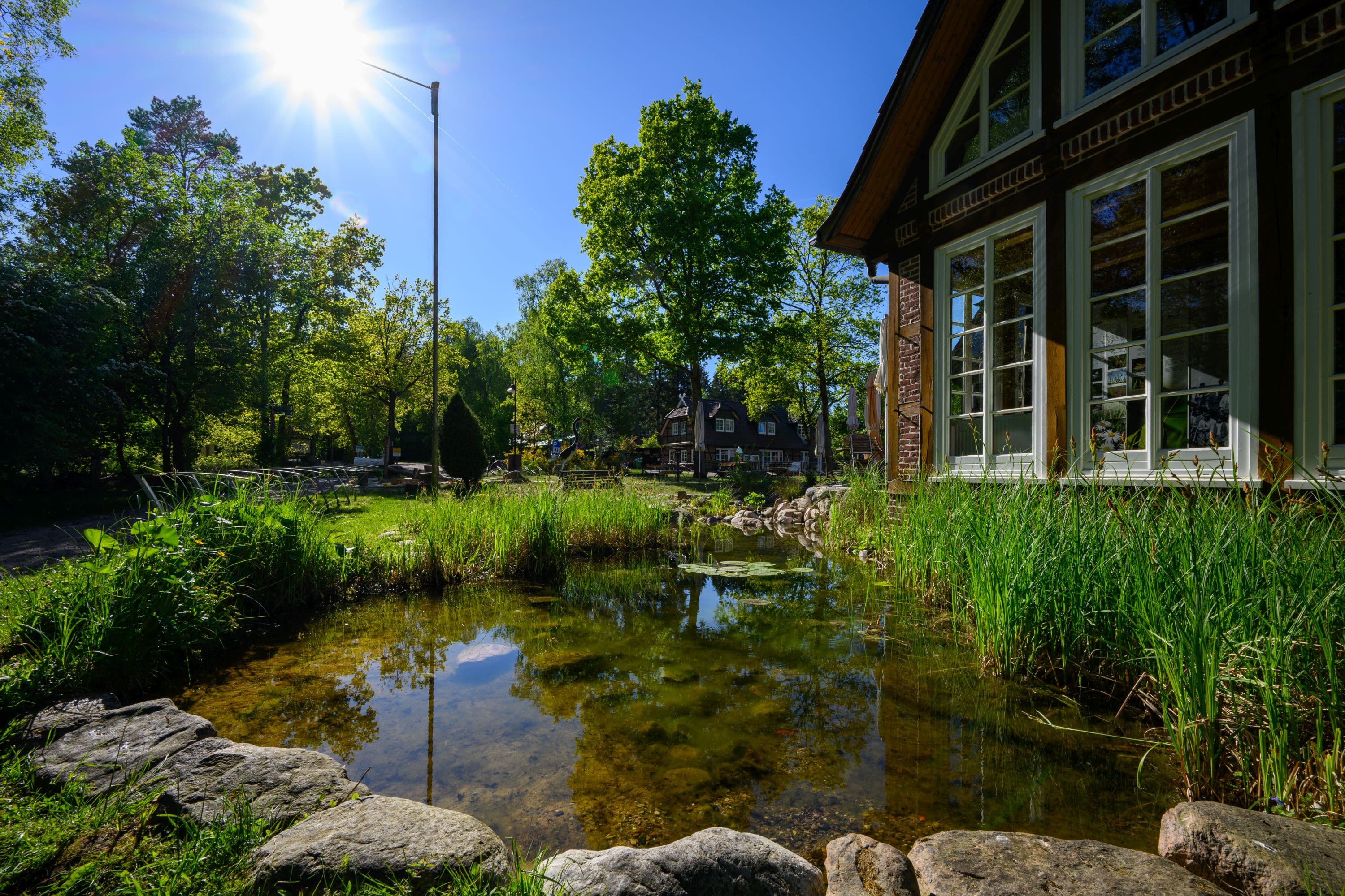 Sonnenschein im Frühling über dem idyllischen Ort Undeloh in der Lüneburger Heide