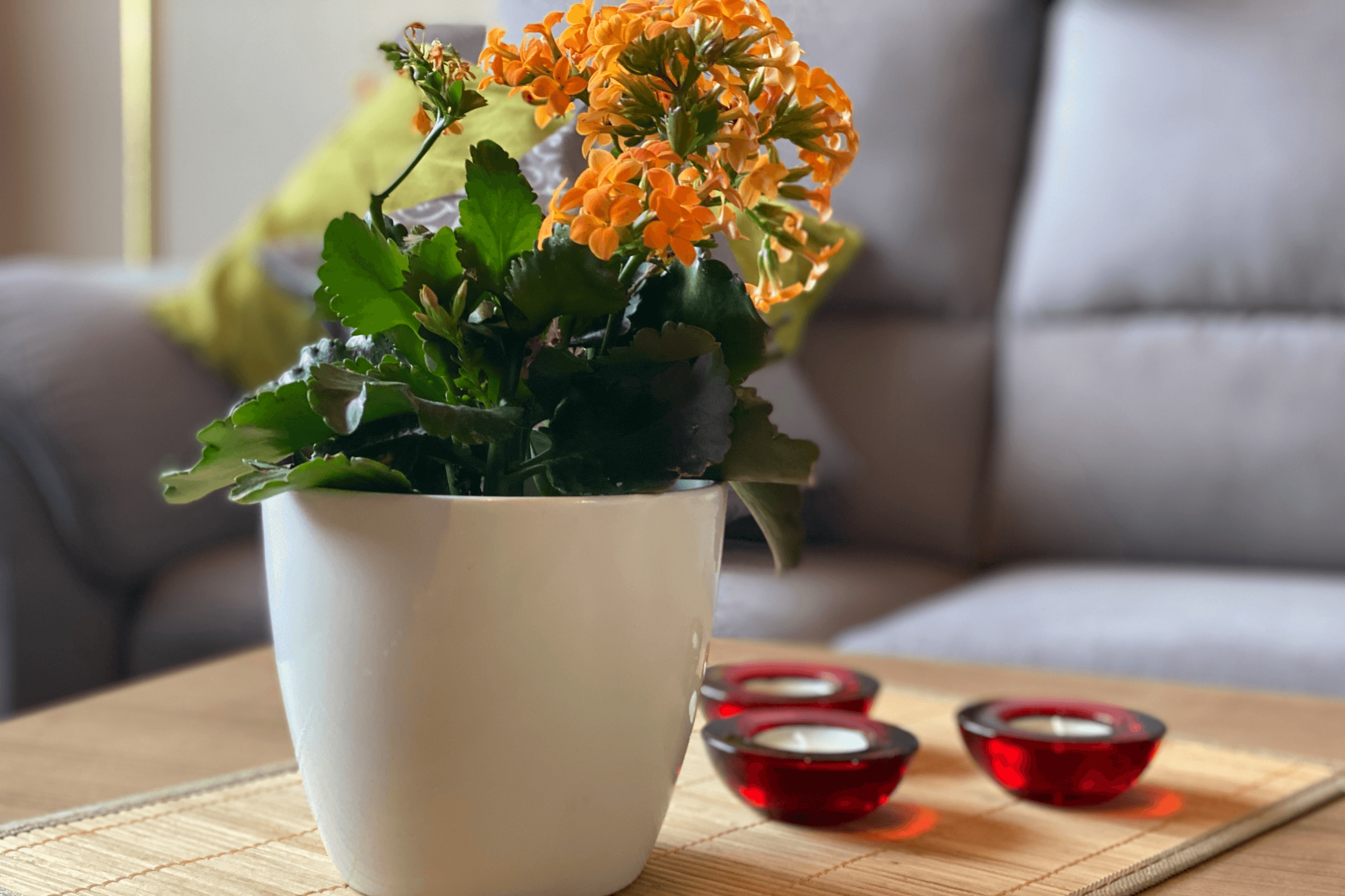 Wohnzimmer in der Ferienwohnung Bädke in Müden Örtze