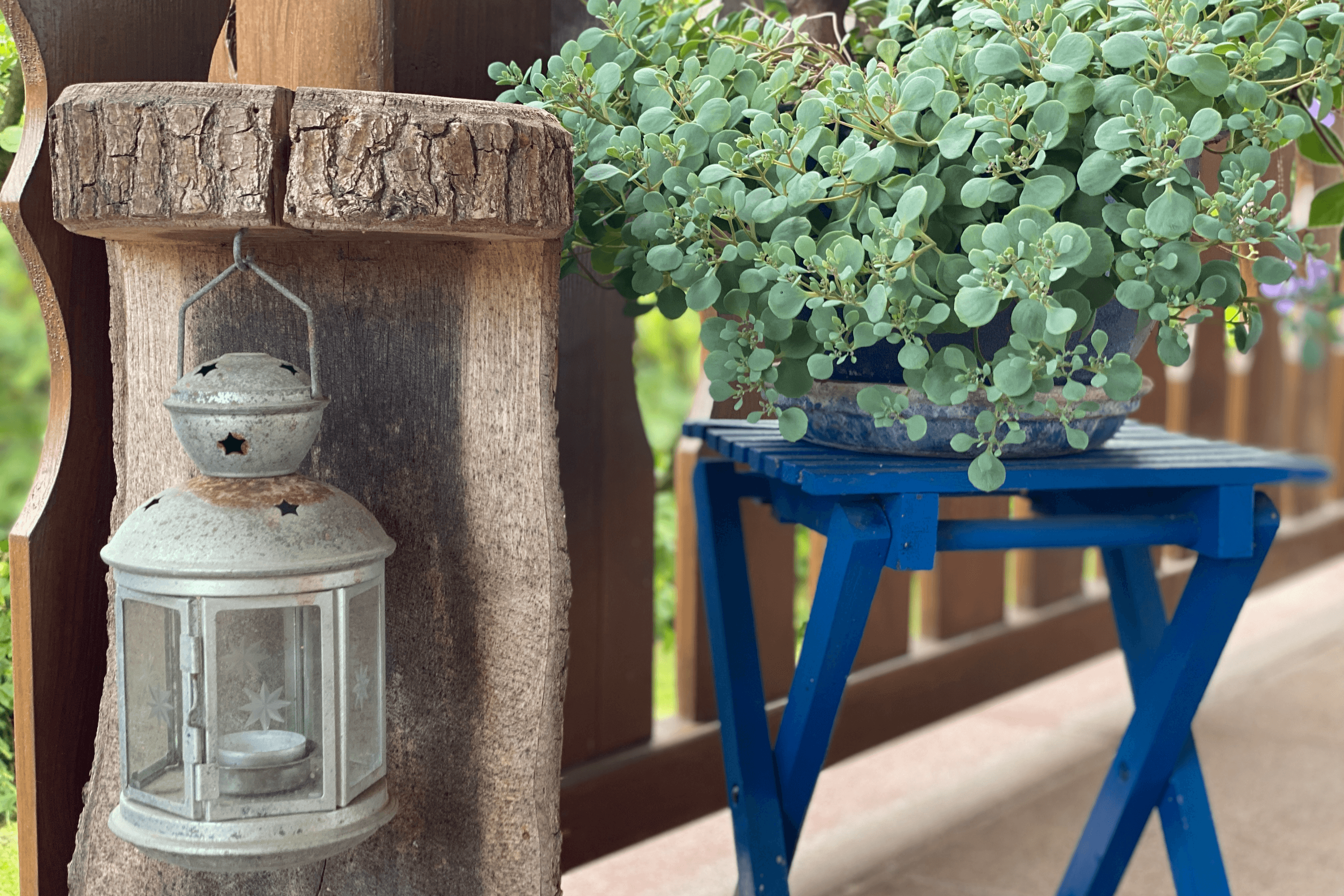 Ferienhaus am Heidesee in Müden Örtze