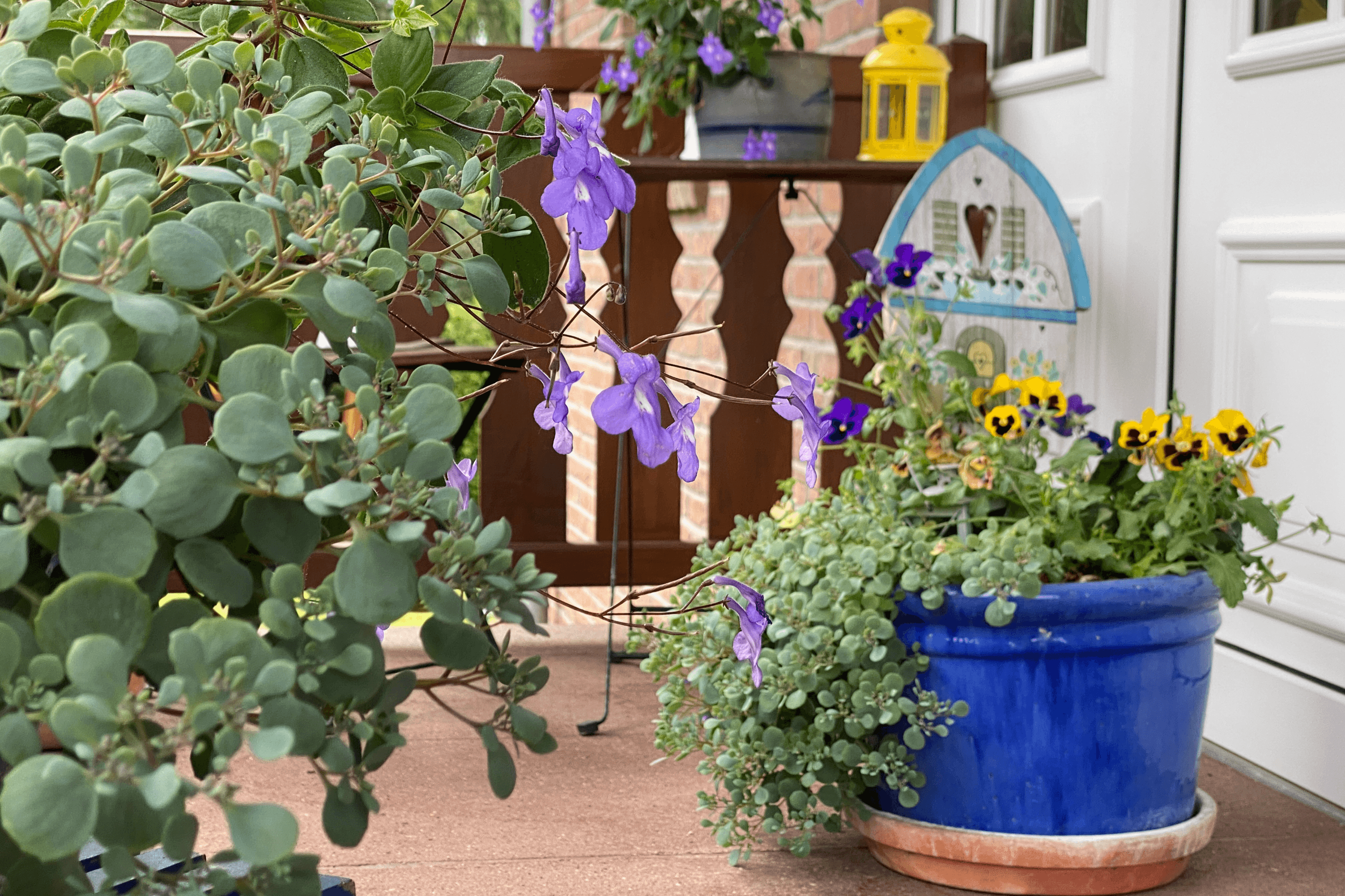 Ferienhaus am Heidesee in Müden Örtze