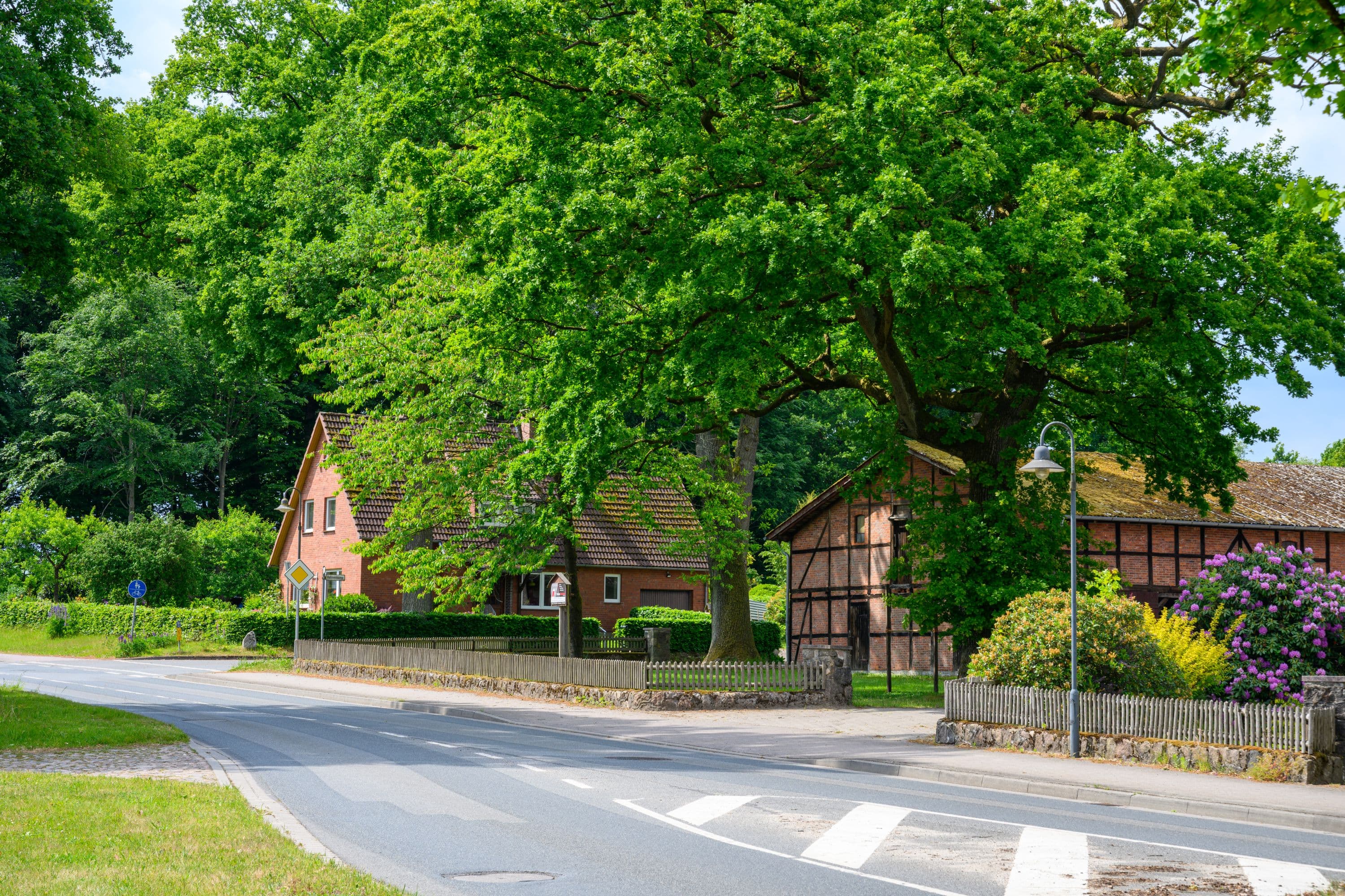 Idyllische Straße durch den Heideort Handeloh, mit Fachwerkhäusern am Straßenrand