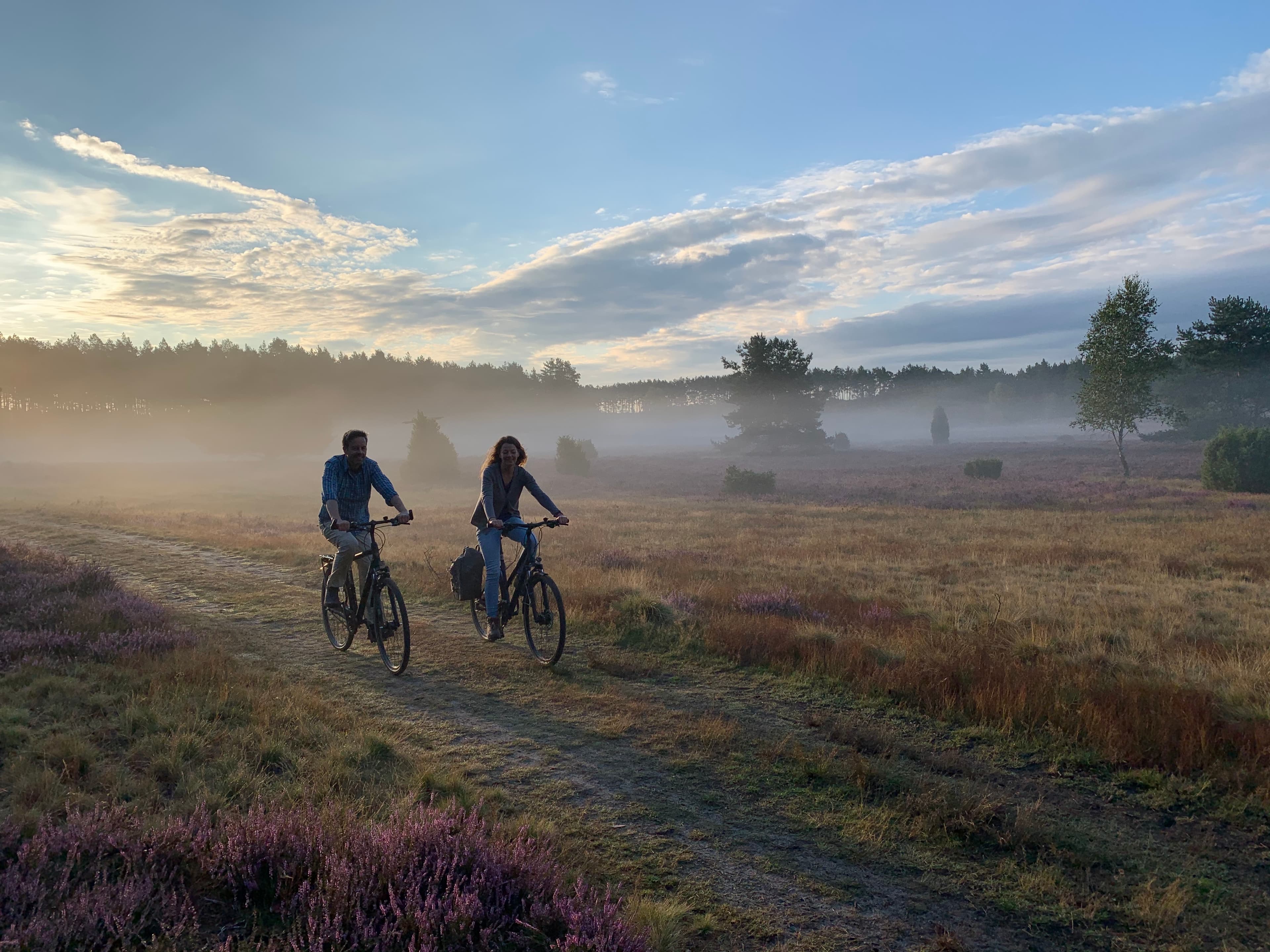 Sonnenaufgang in der Heide