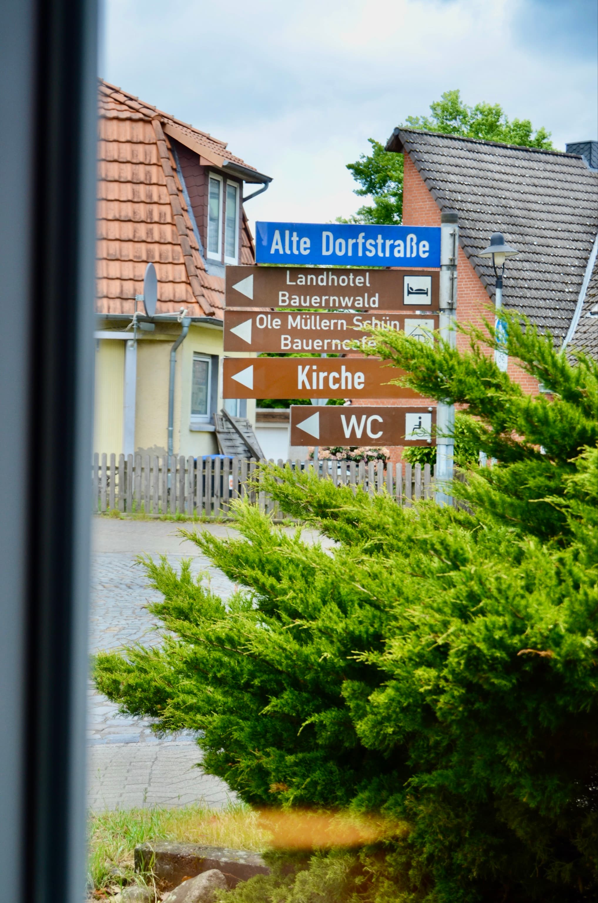 Blick aus dem Fenster der Ferienwohnung an der Örtze Müden Örtze