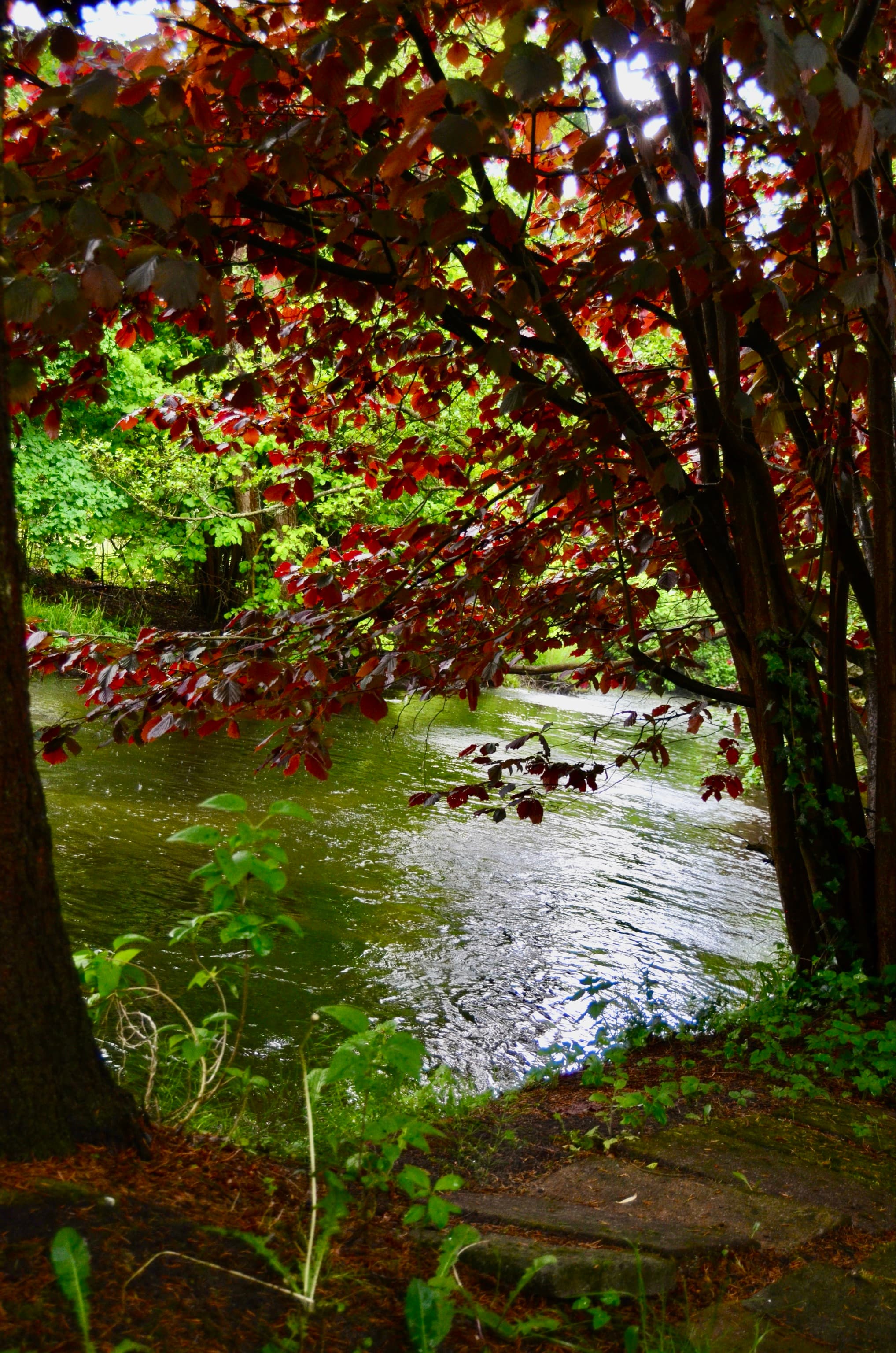 An der Örtze Müden Örtze