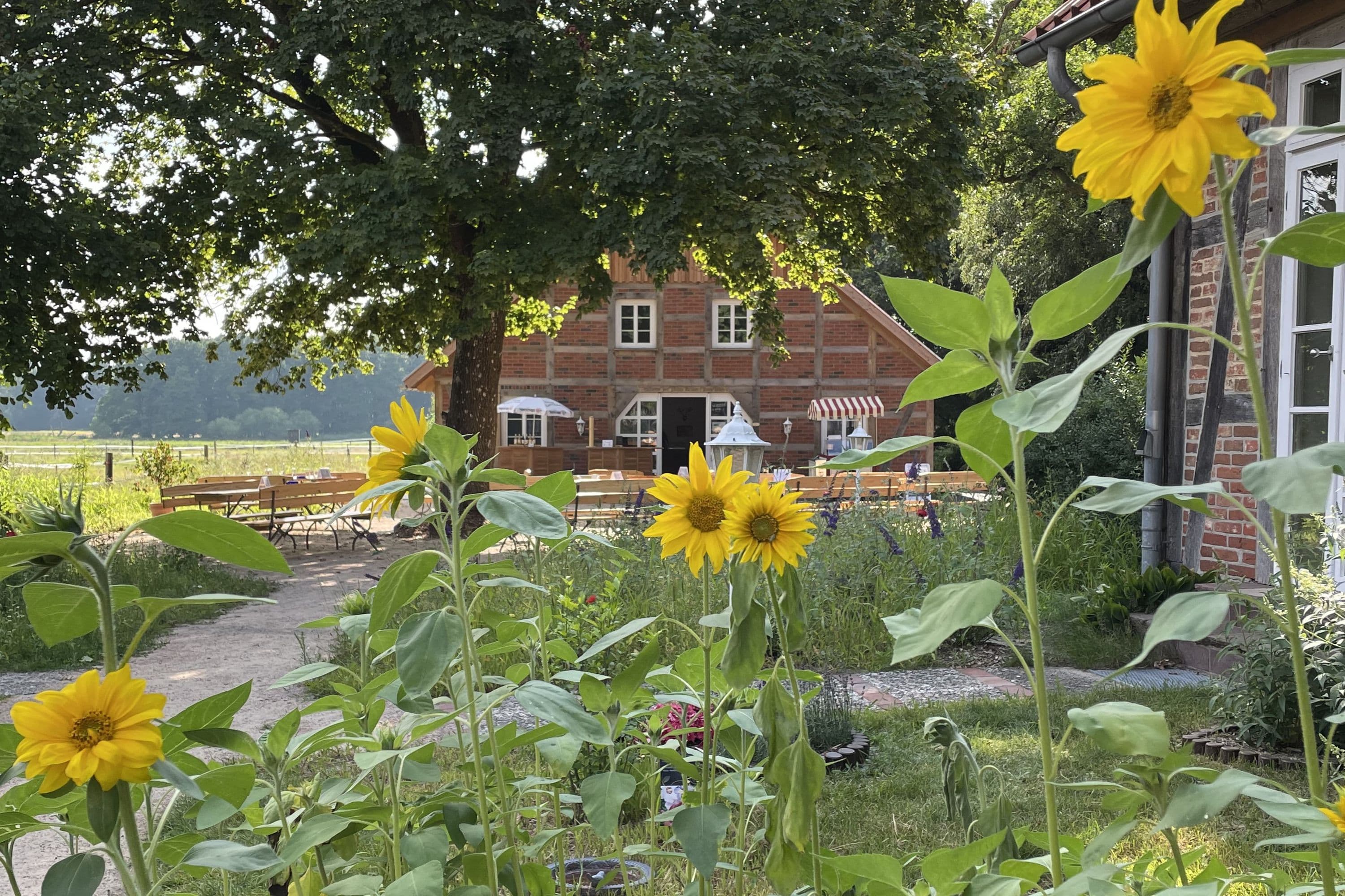 TraumzeitHof Biergarten Eschede Südheide