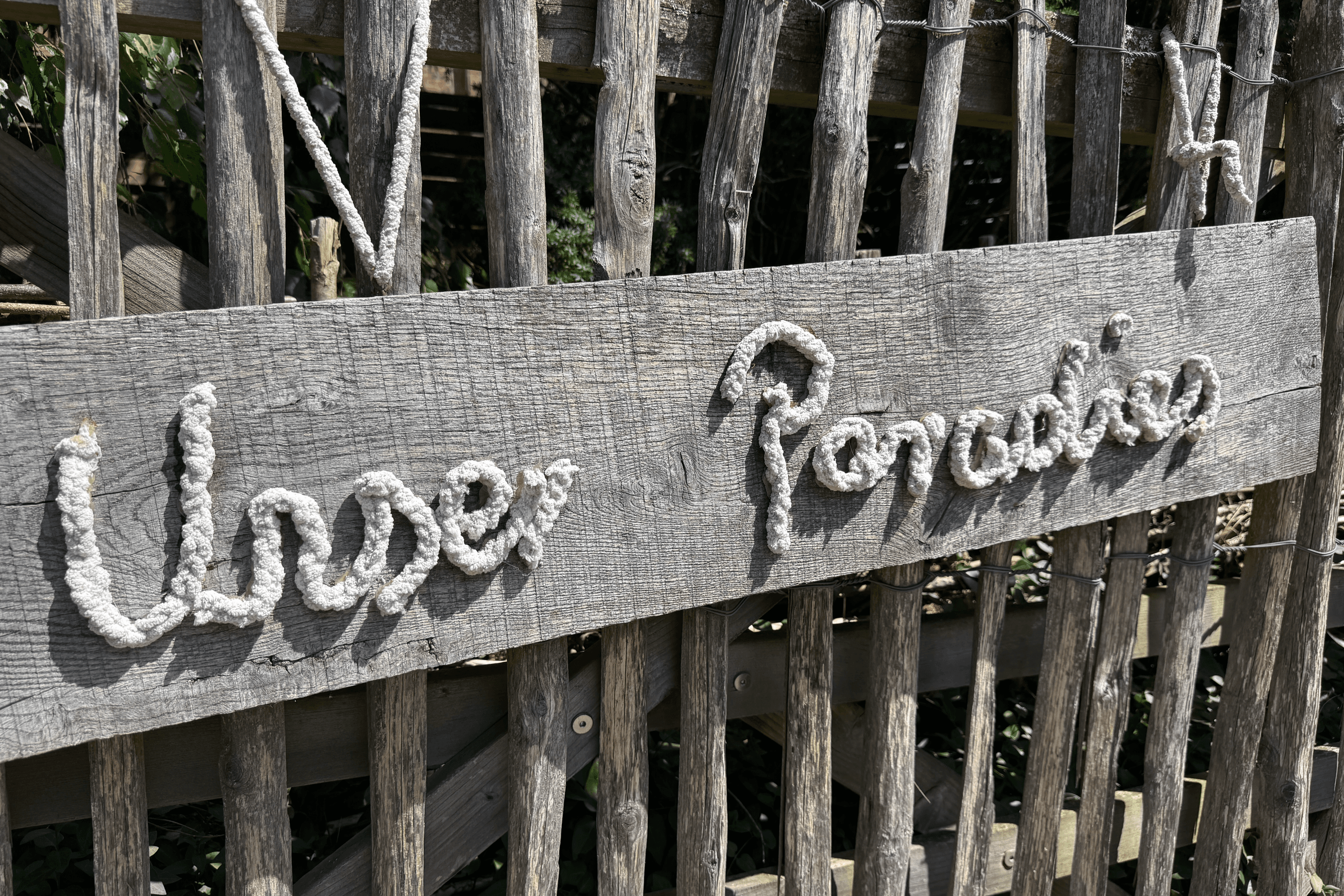 Alpaka-Hof in Habighorst bei Eschede