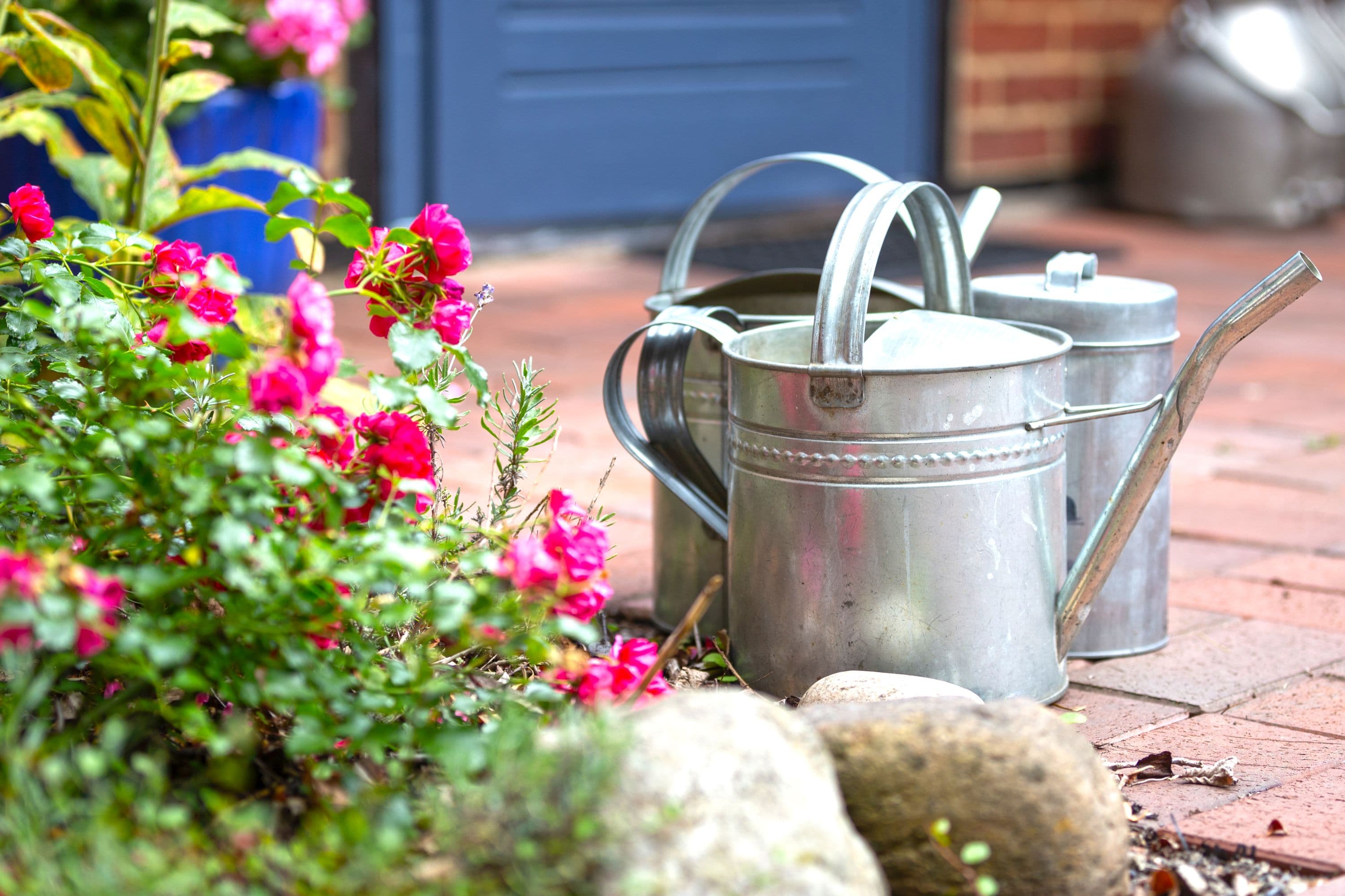 Im Garten vom Ferienhaus Schneider in Wietze