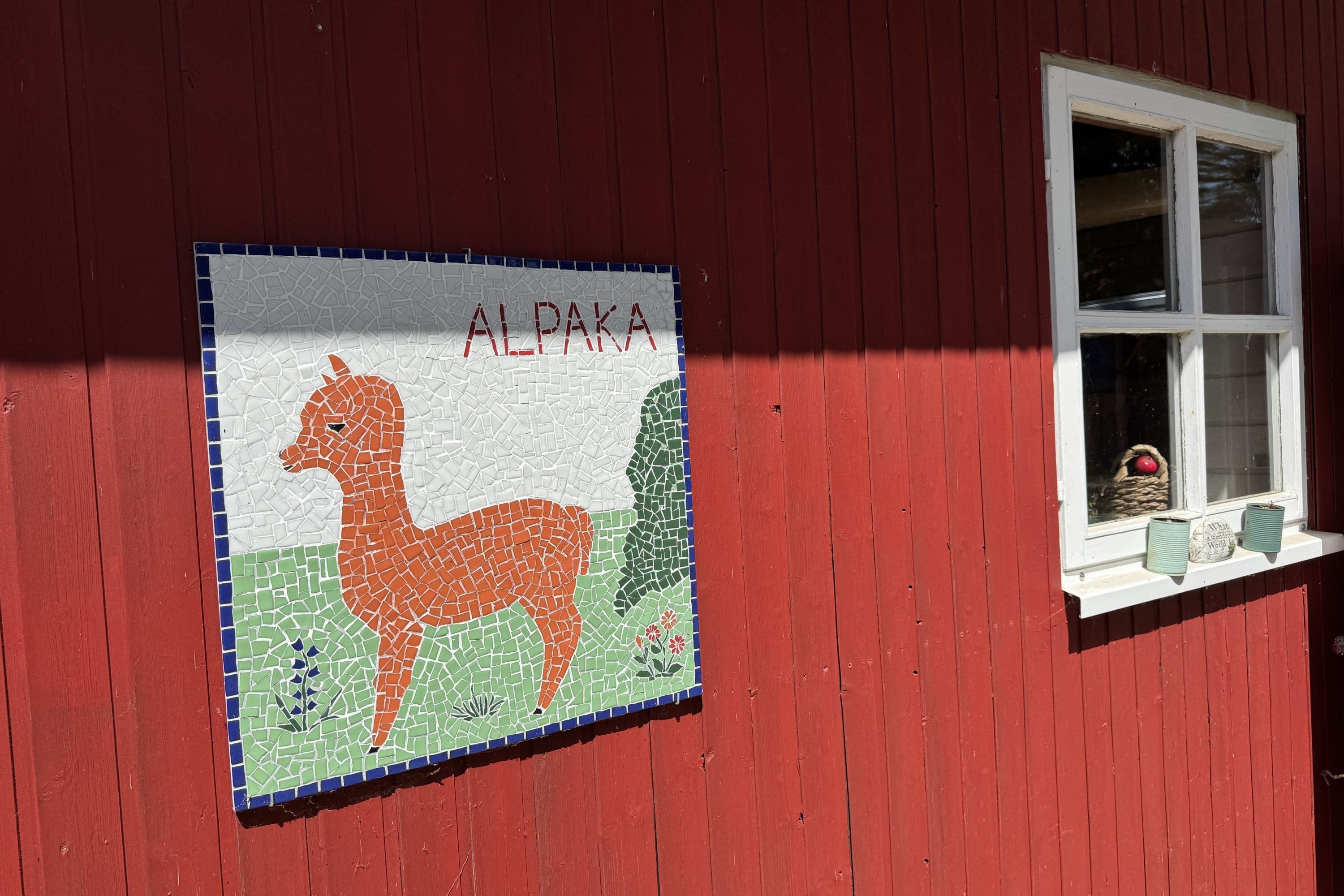 Alpaka-Hof in Habighorst bei Eschede