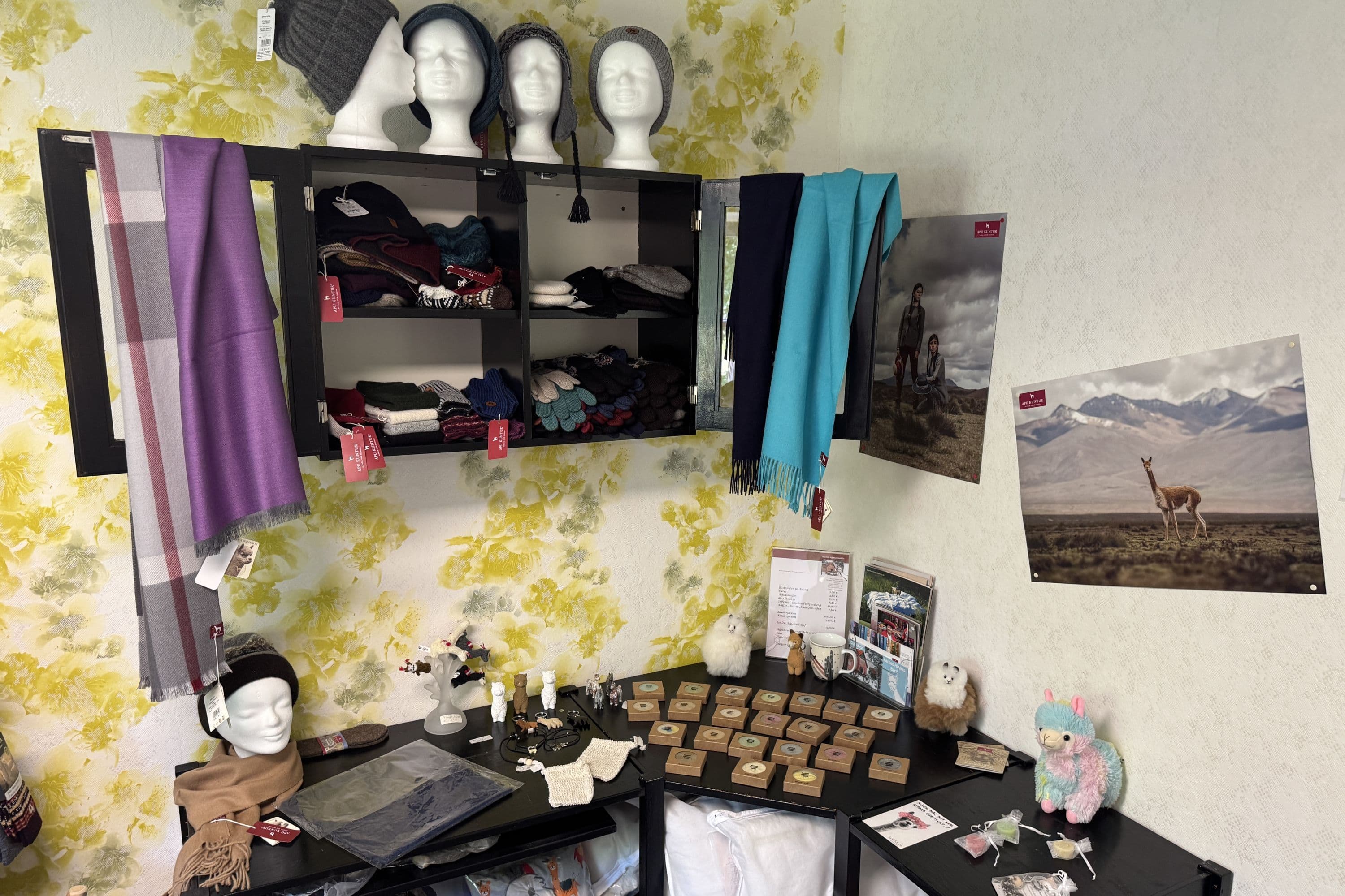 Alpaka-Hof in Habighorst bei Eschede