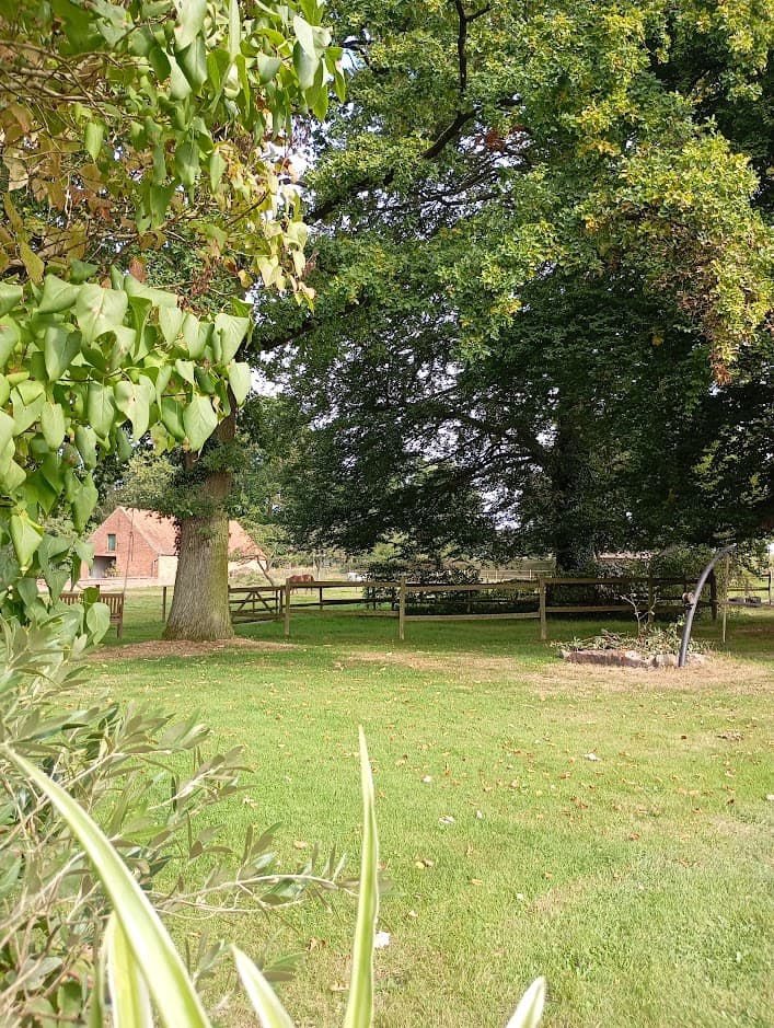 Pferdewiese bei der Ferienwohnung Buchenhof Haberzettl