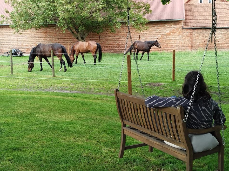 Pferdewiese von der Ferienwohnung Buchenhof Haberzettl