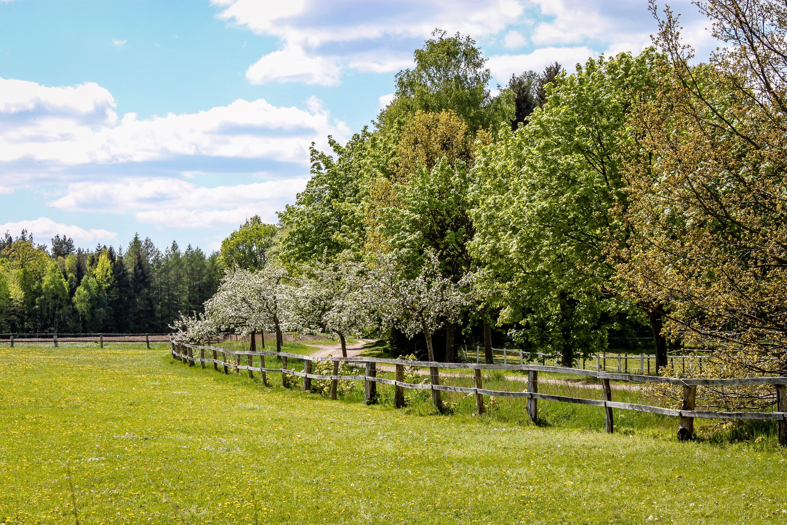 Umgebung von Hermannsburg