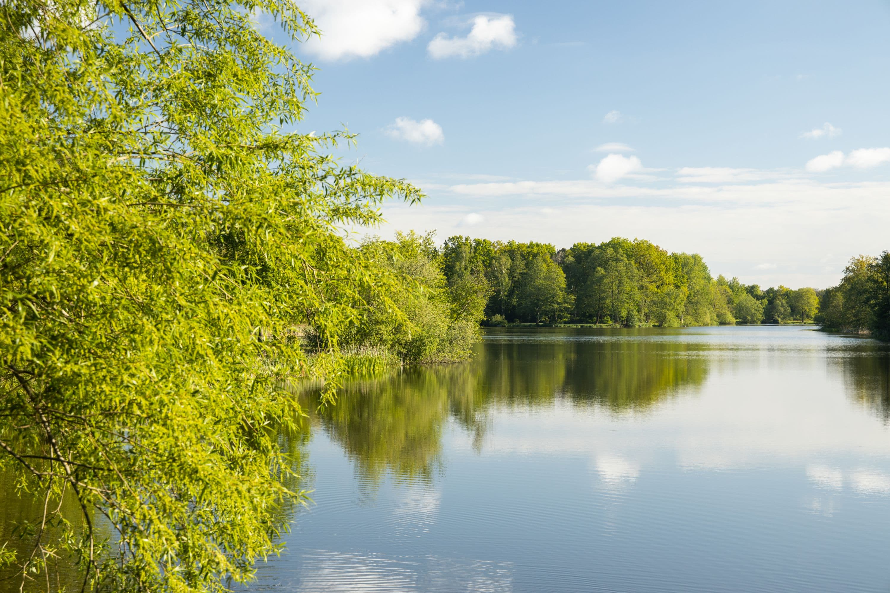 Der Heidesee in Müden (Örtze) im Frühling