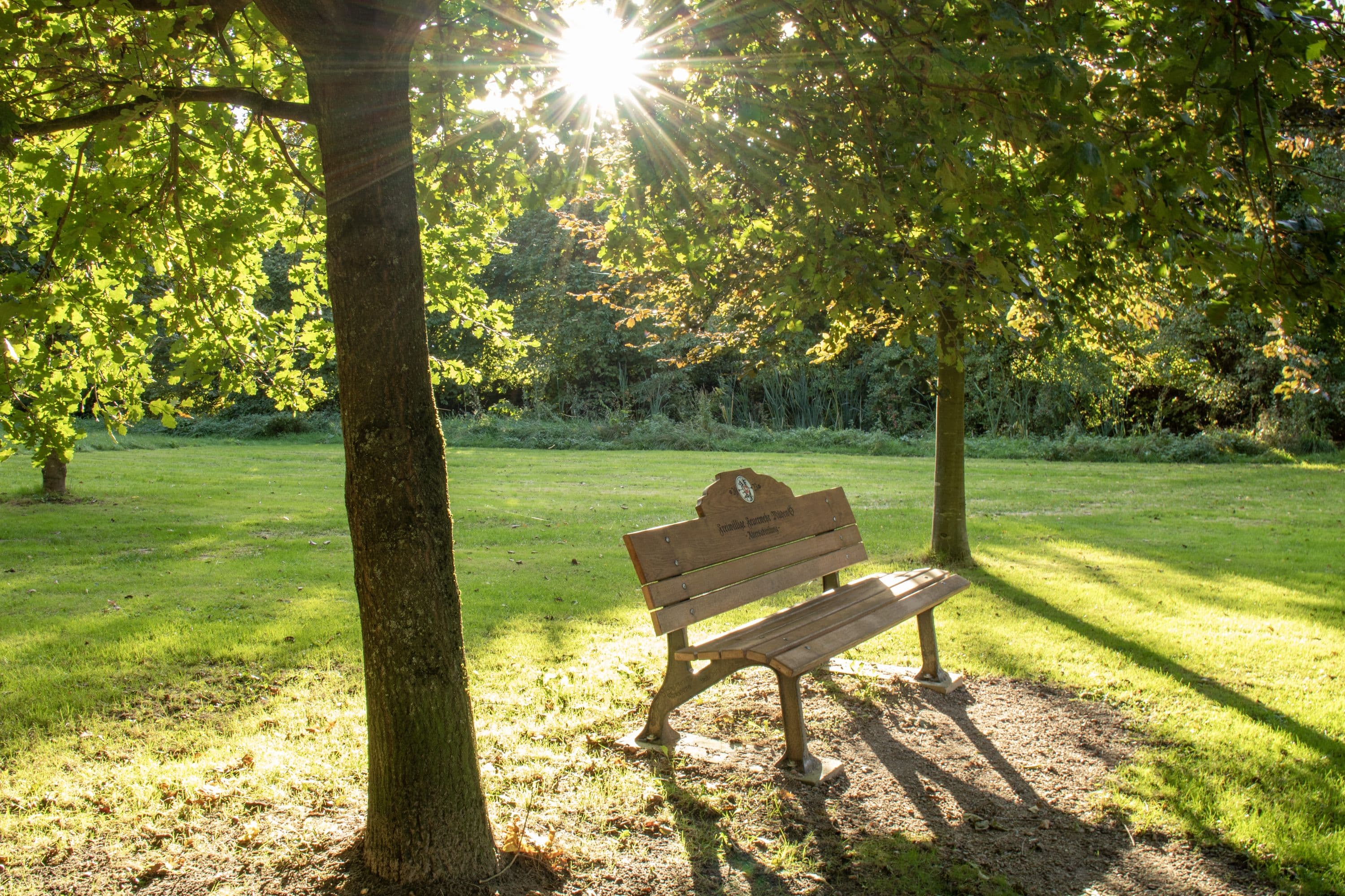 Gemütliche Bank am Heidesee in Müden (Örtze)