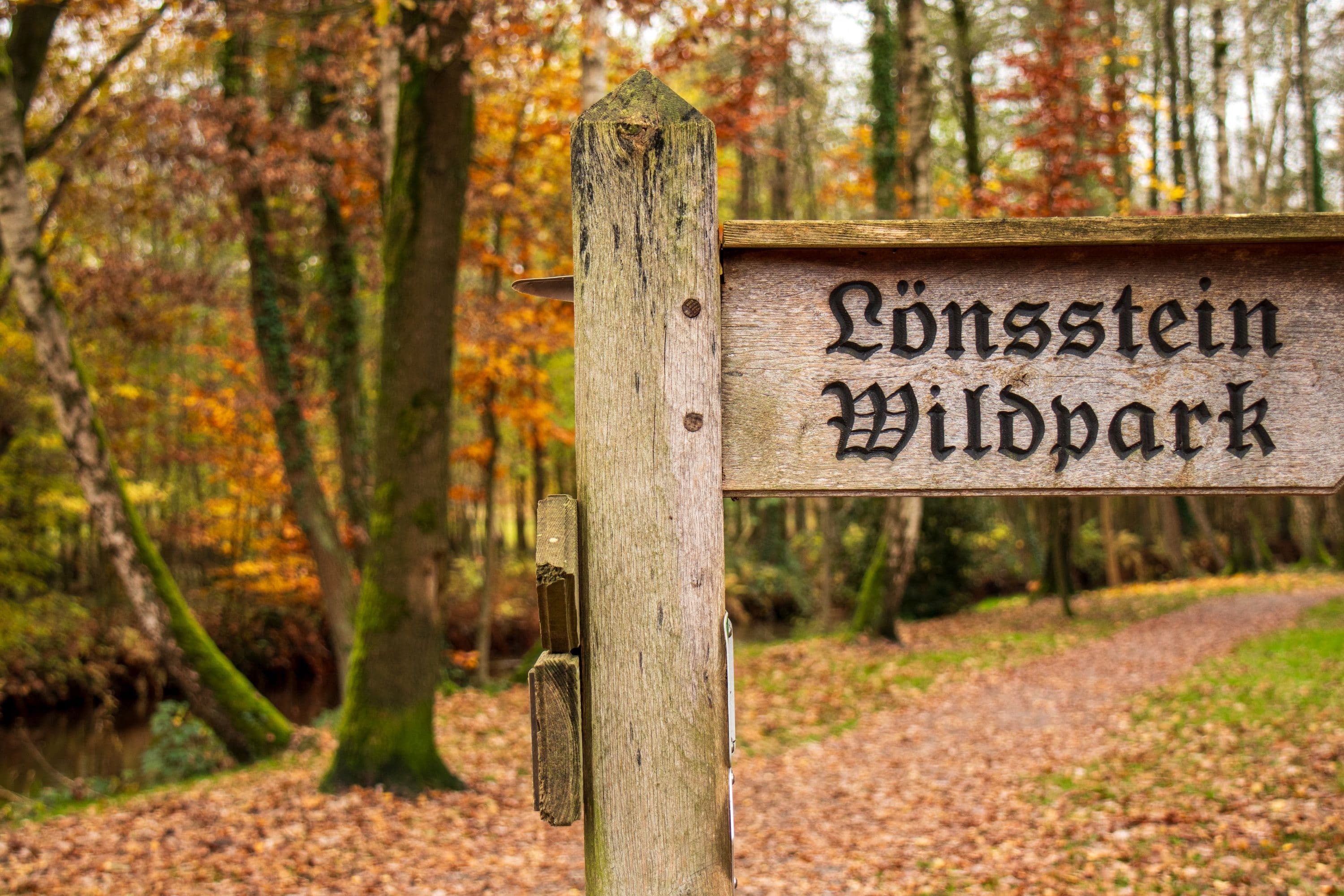 Herbst in Müden (Örtze)