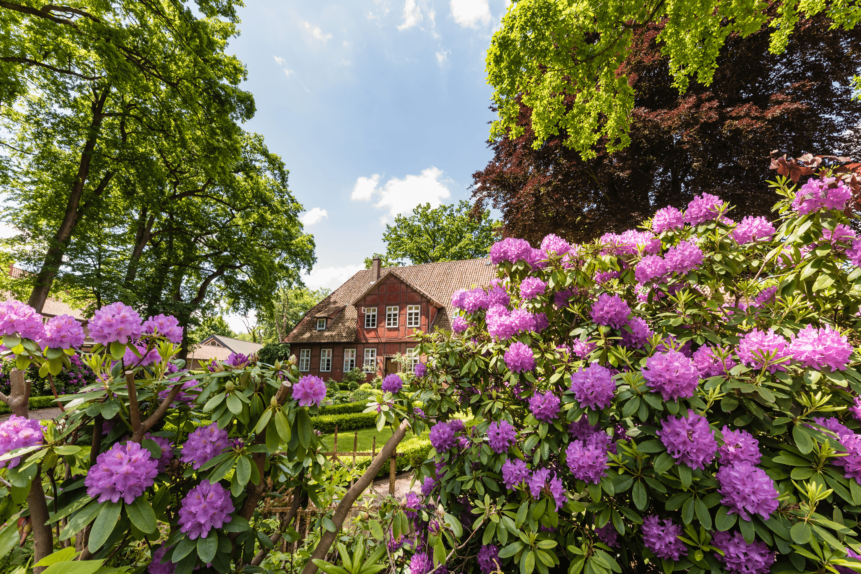 Sommer in Müden (Örtze)