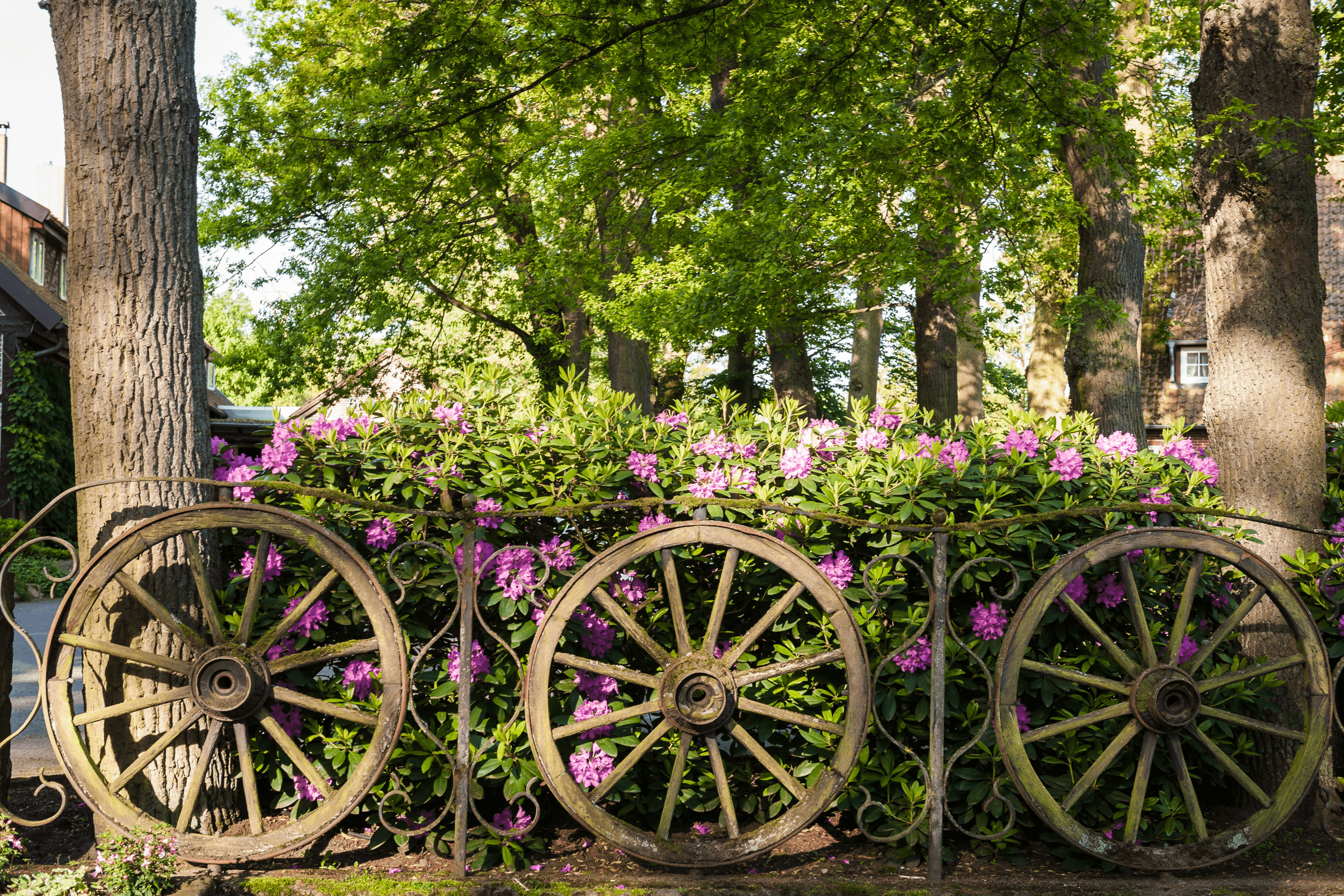 Müden (Örtze) im Sommer