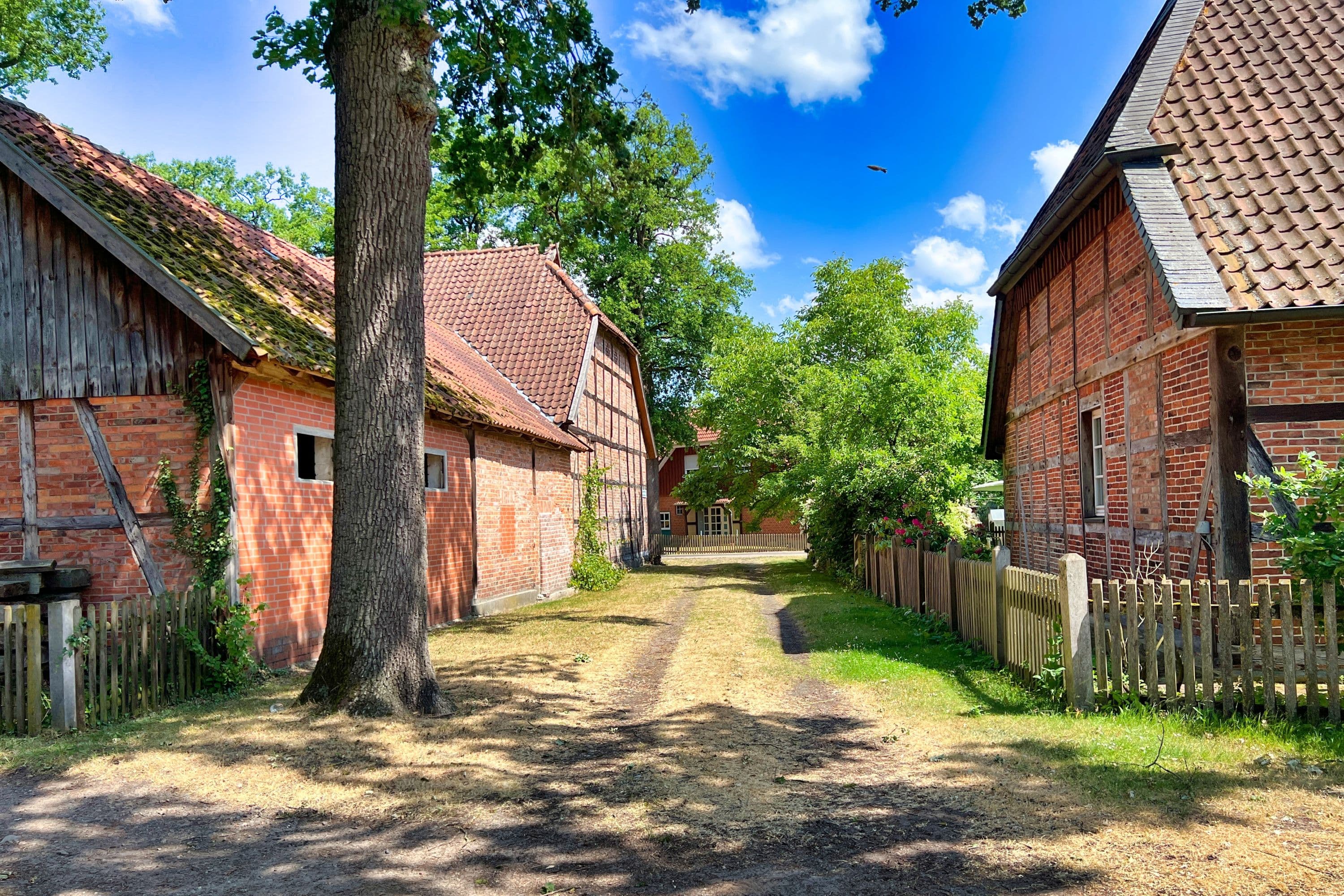 In Wieckenberg bei Wietze