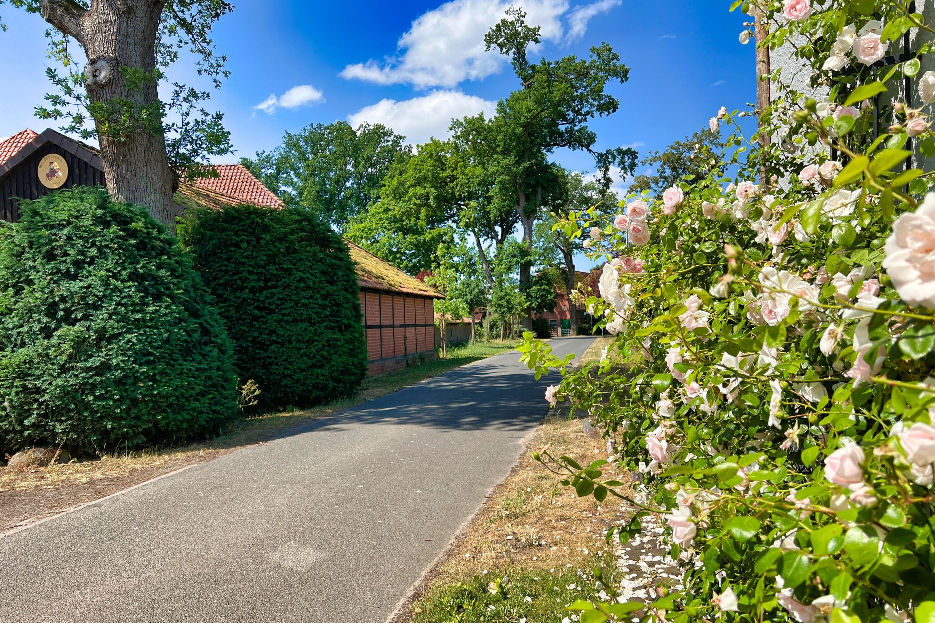 In Wieckenberg bei Wietze