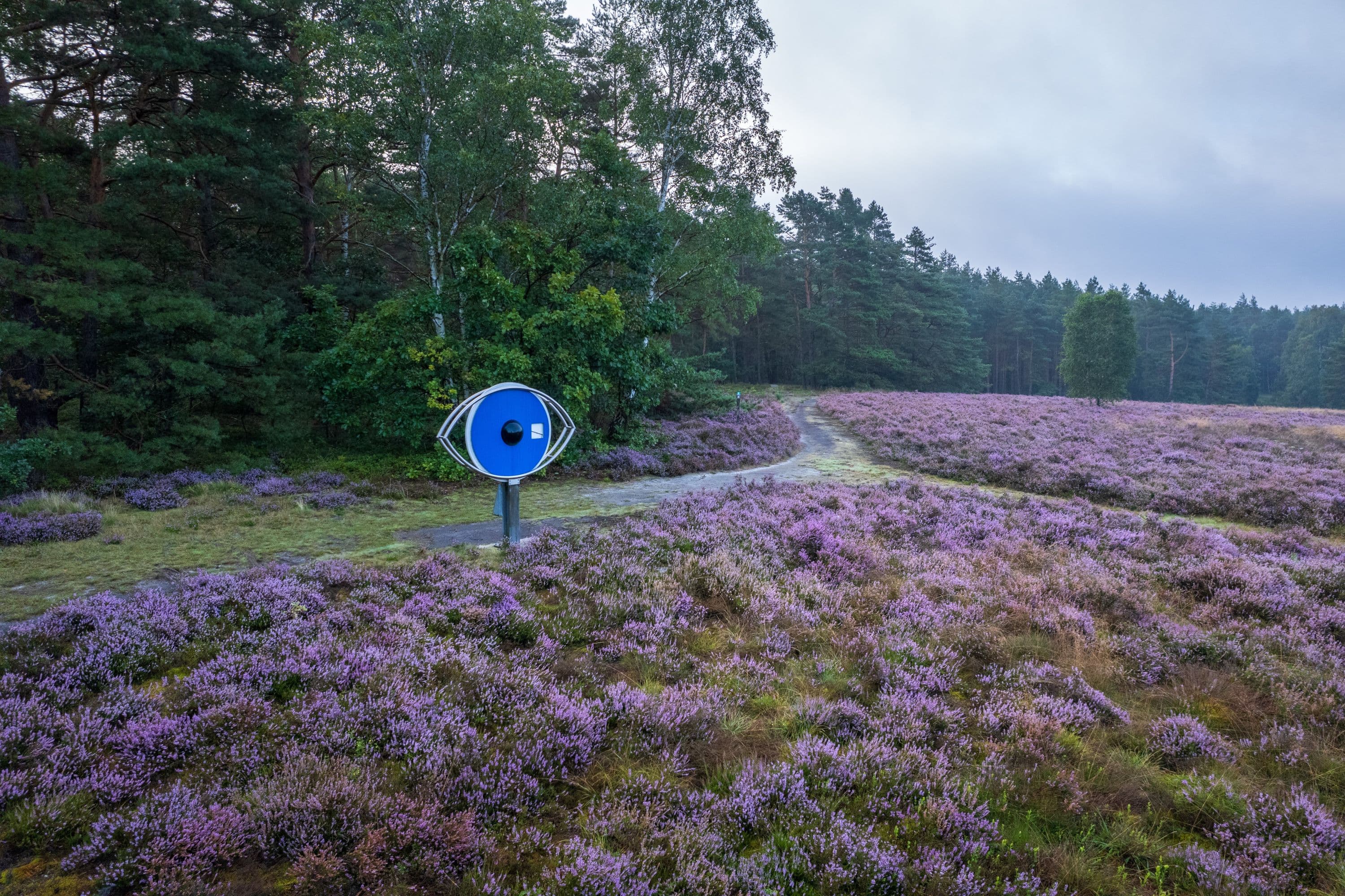 Das Blaue Auge vom Schillohsberg bei Lutterloh
