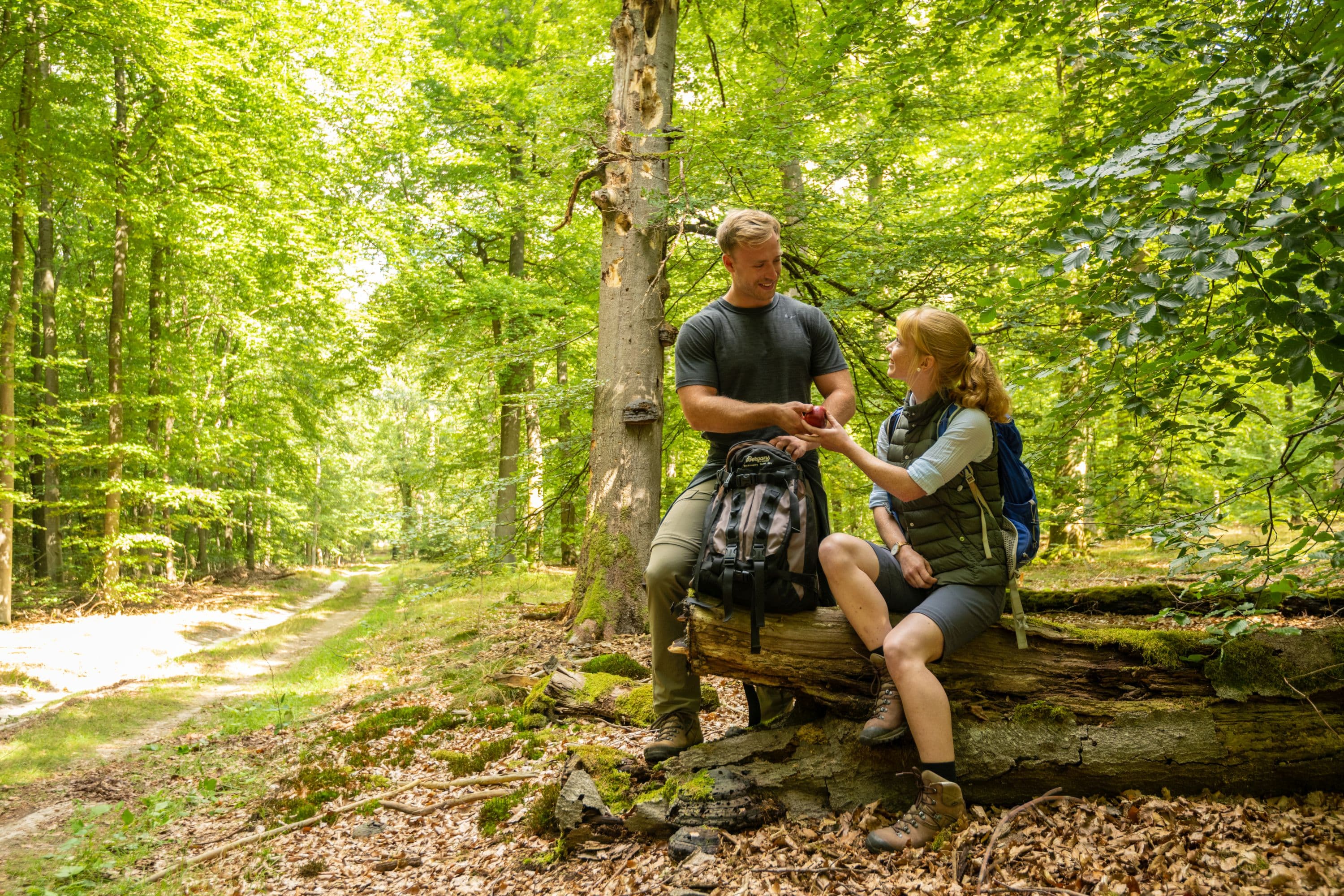 Pause im Lüßwald bei Unterlüß