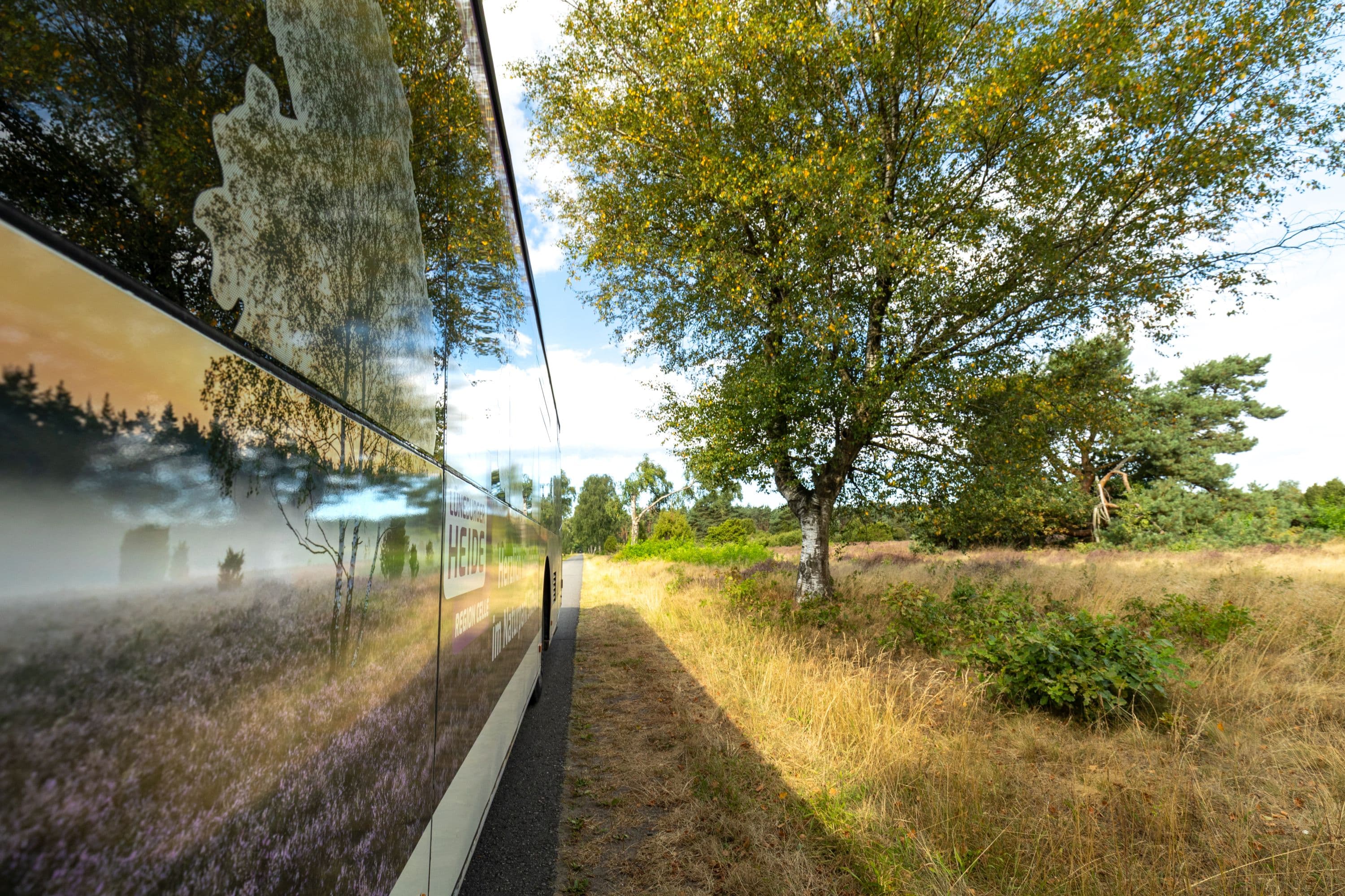 Mit dem Südheide-Shuttle den Naturpark erkunden