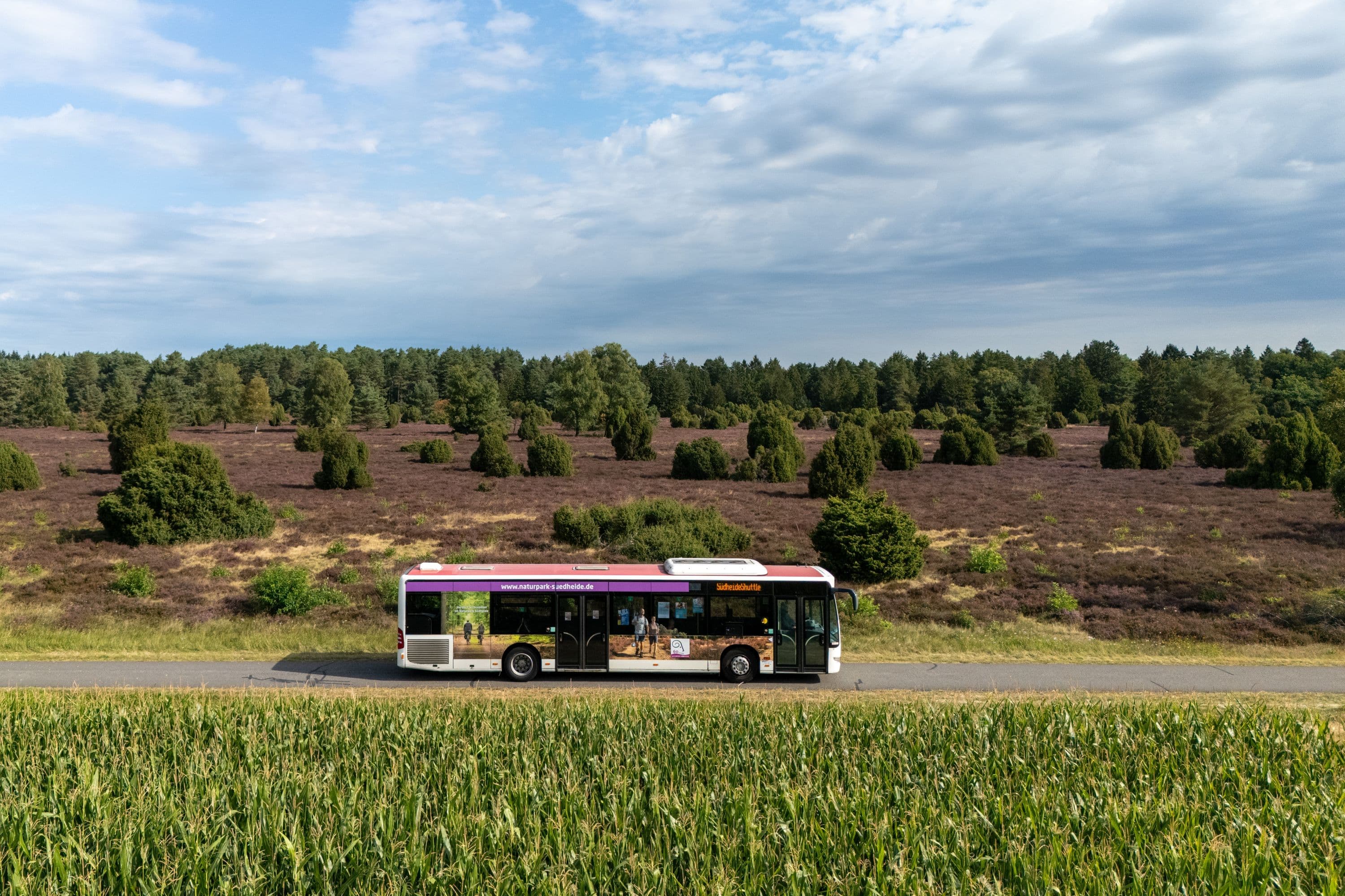 Der Südheide-Shuttle an den Heideflächen Hausselberg