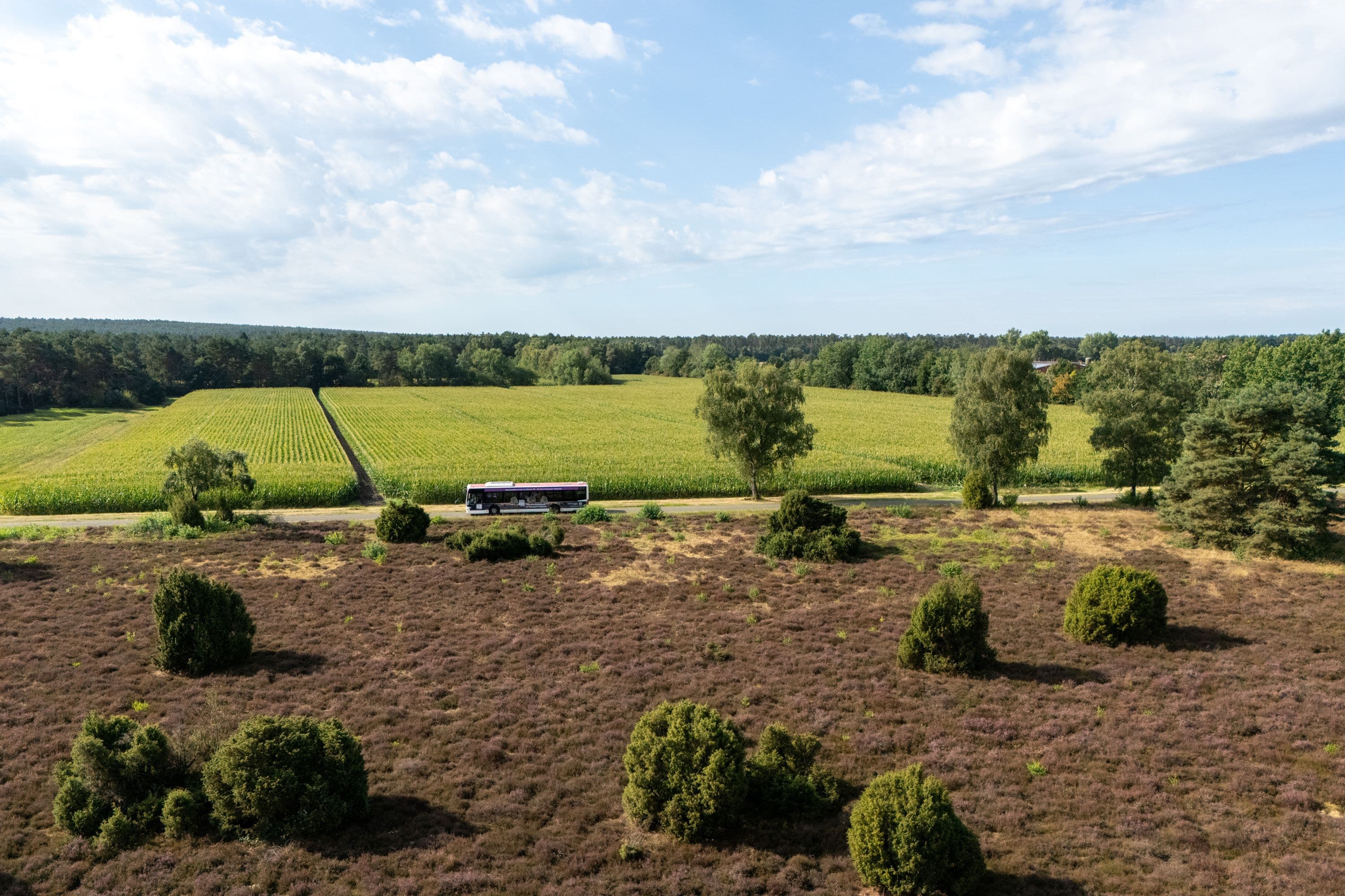 Der Südheide-Shuttle bring Sie in die Natur des Naturparks