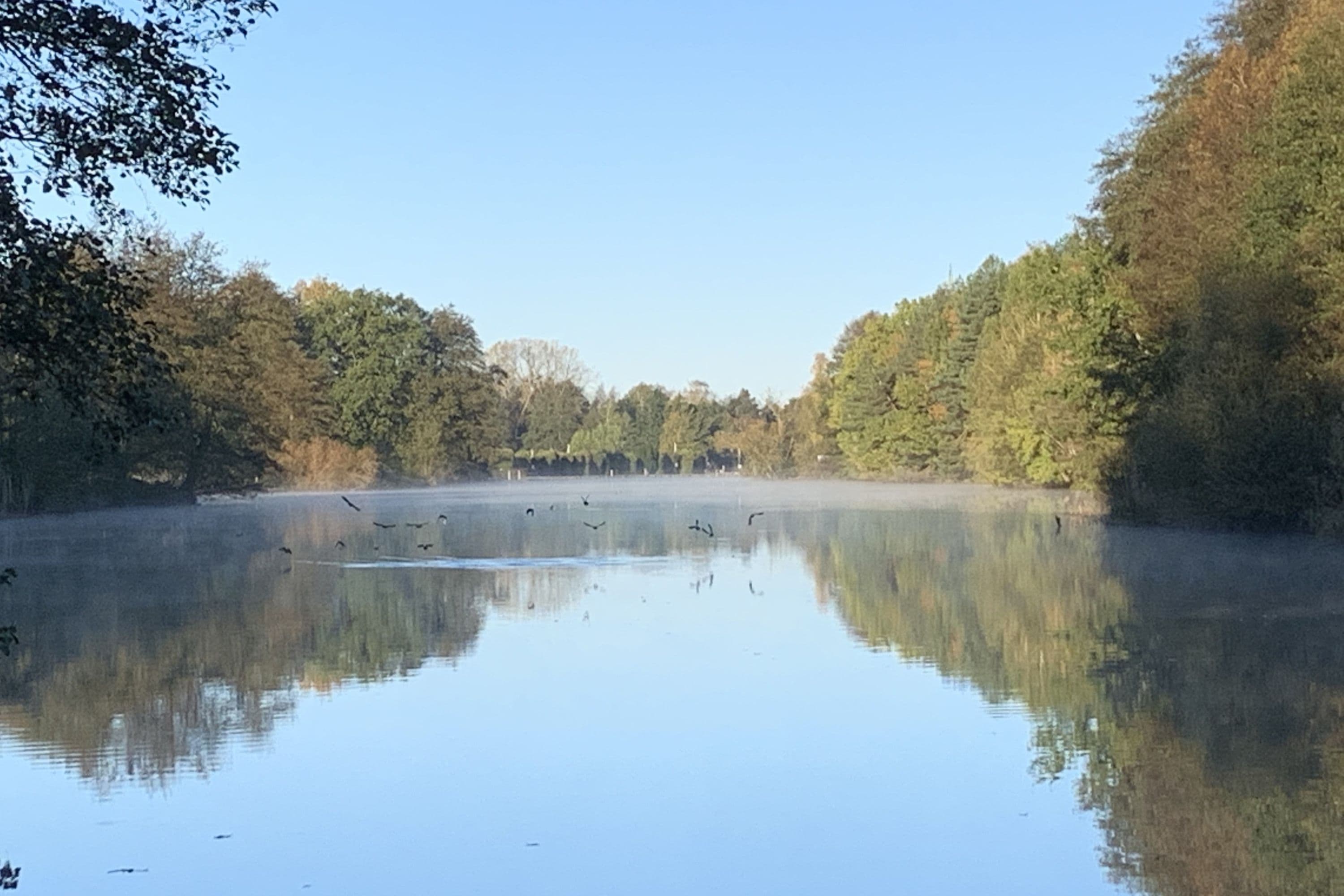 Die Aller bei Hambühren im Winter
