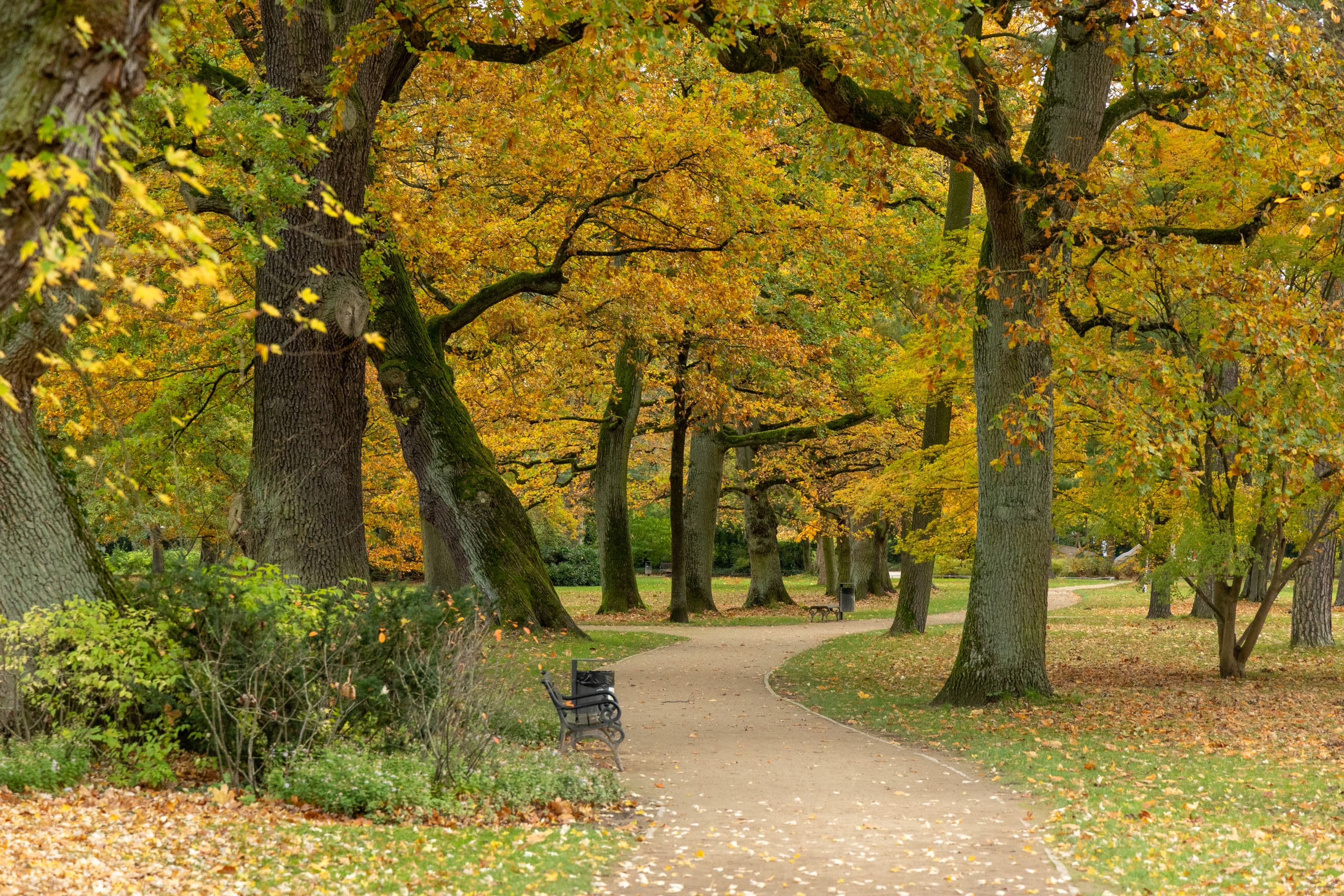 Die Französische Garten in Celle im Herbst