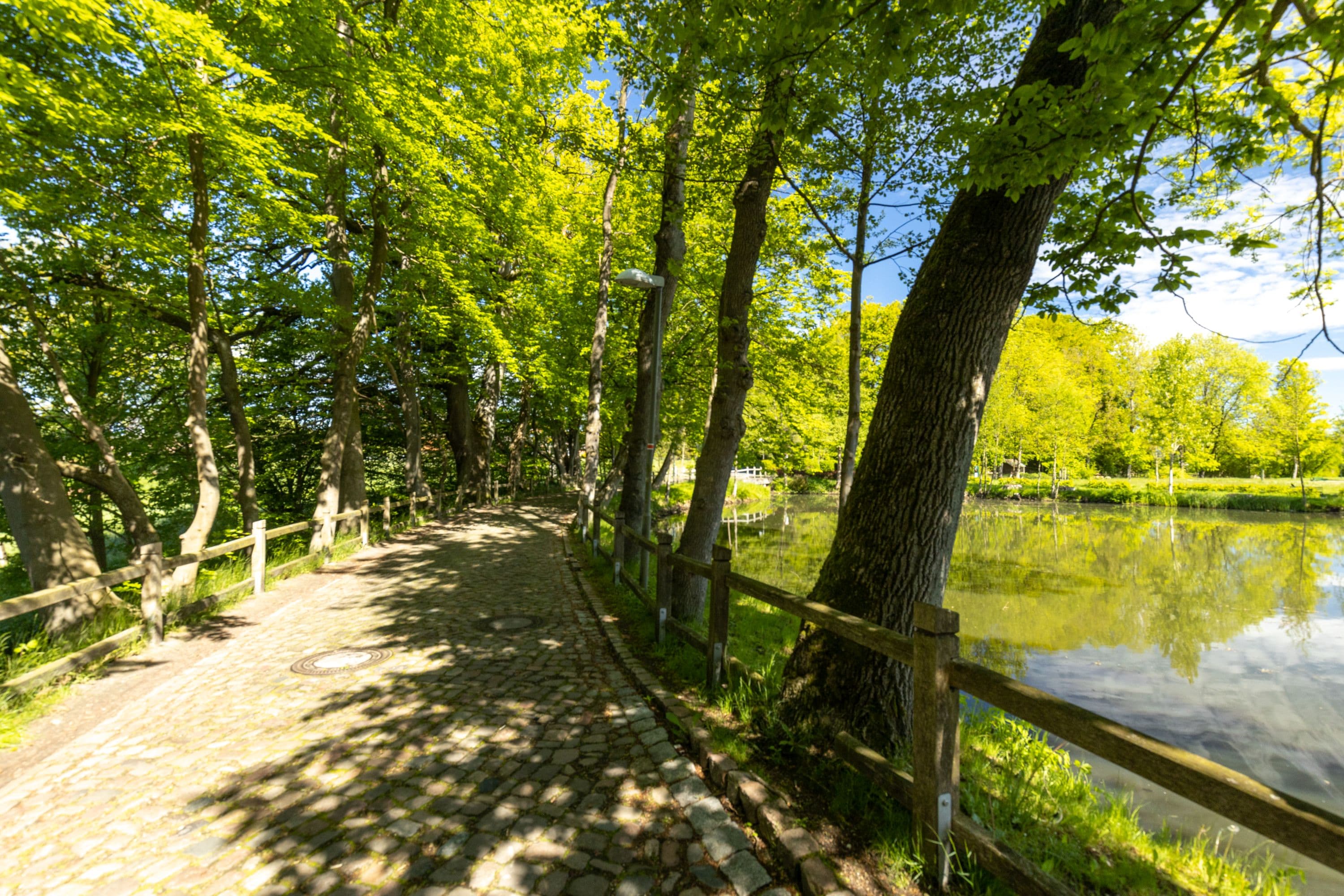Bürgerpark in Bergen