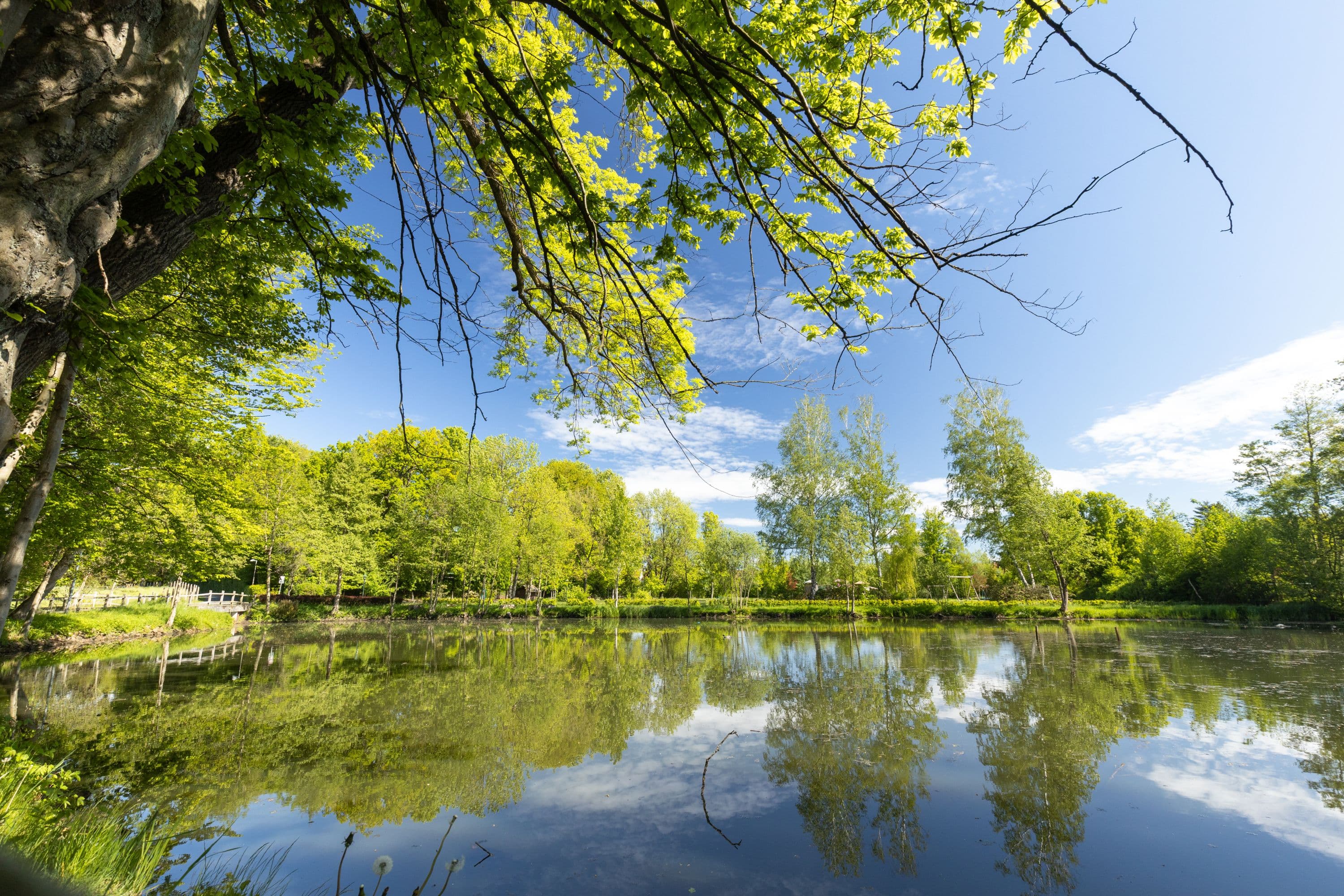 Bürgerpark in Bergen
