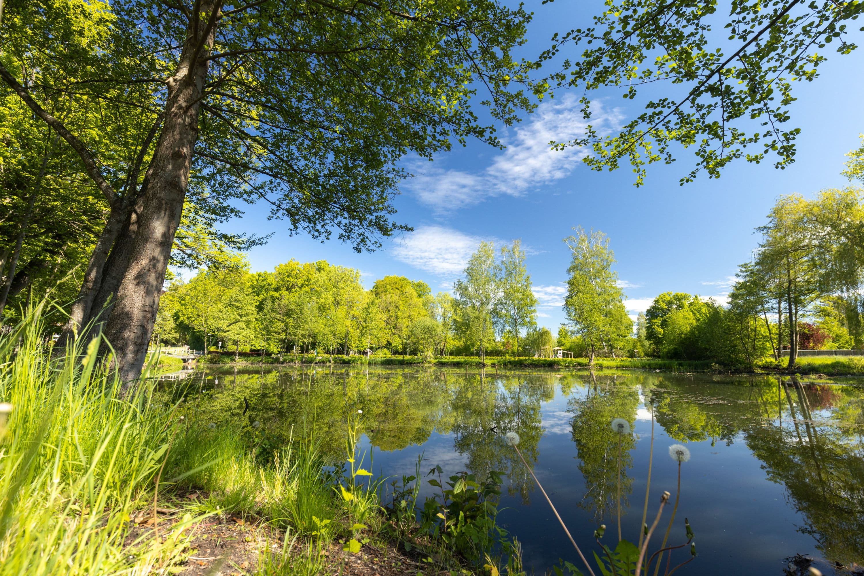 Bürgerpark in Bergen