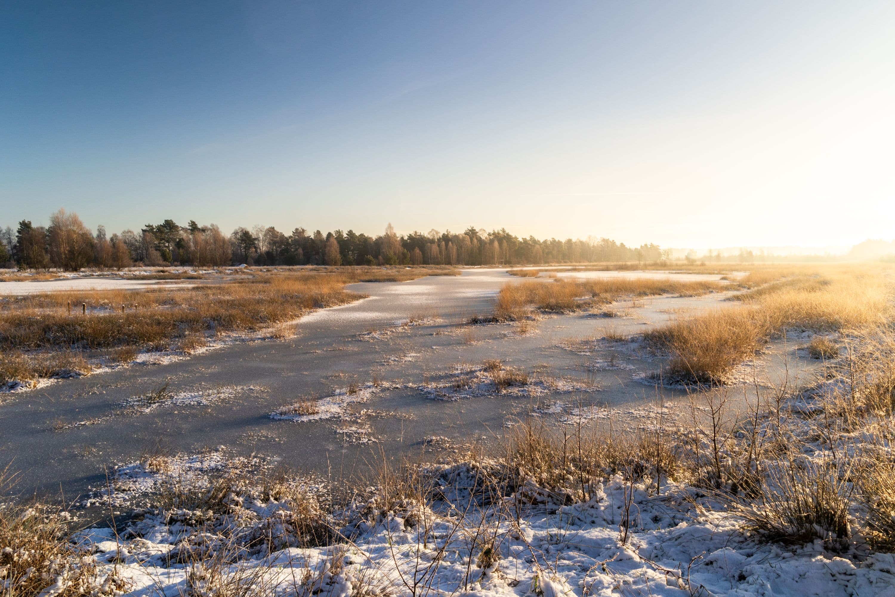 Das Becklinger Moor im Winter