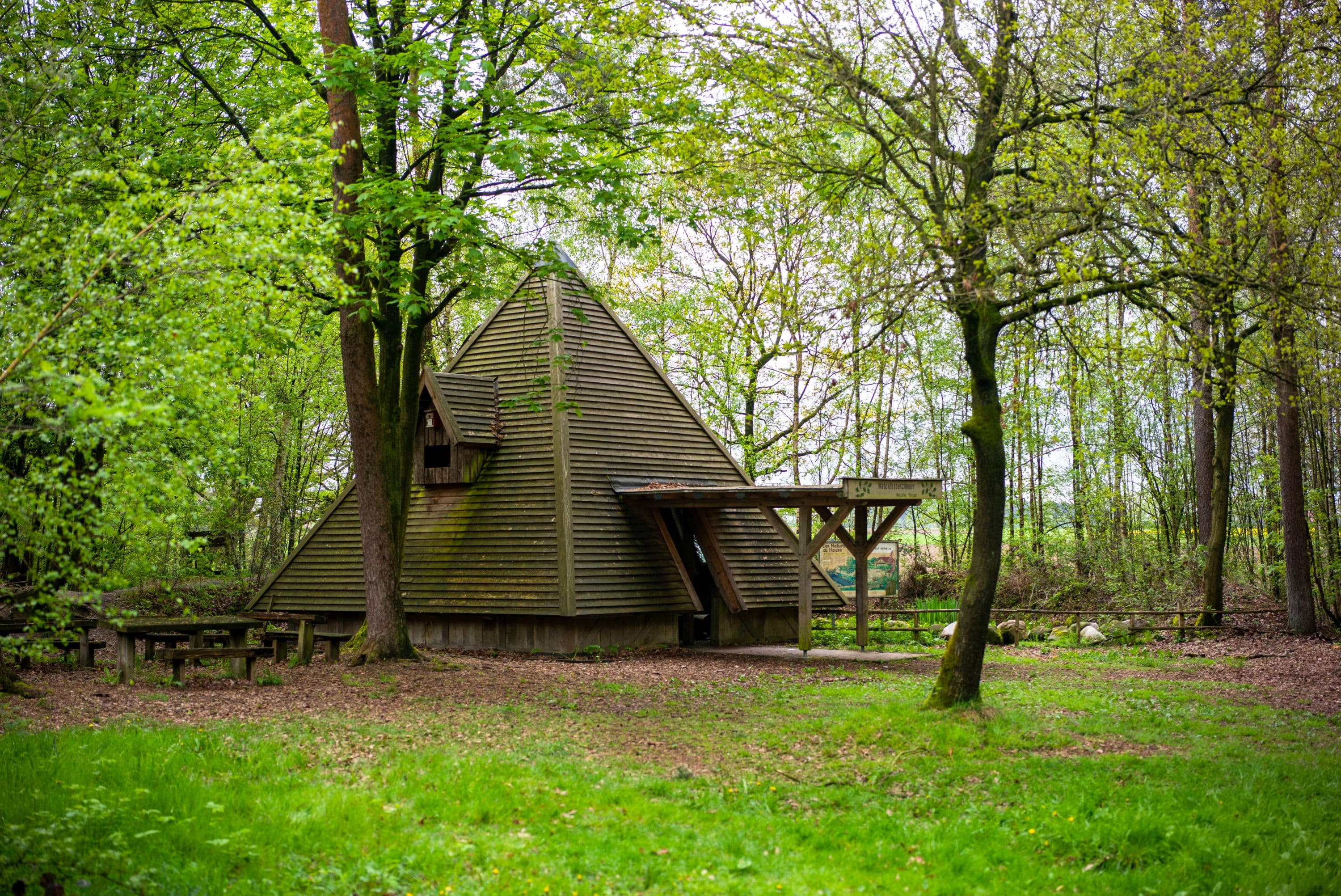 Waldklassenzimmer bei Bergen