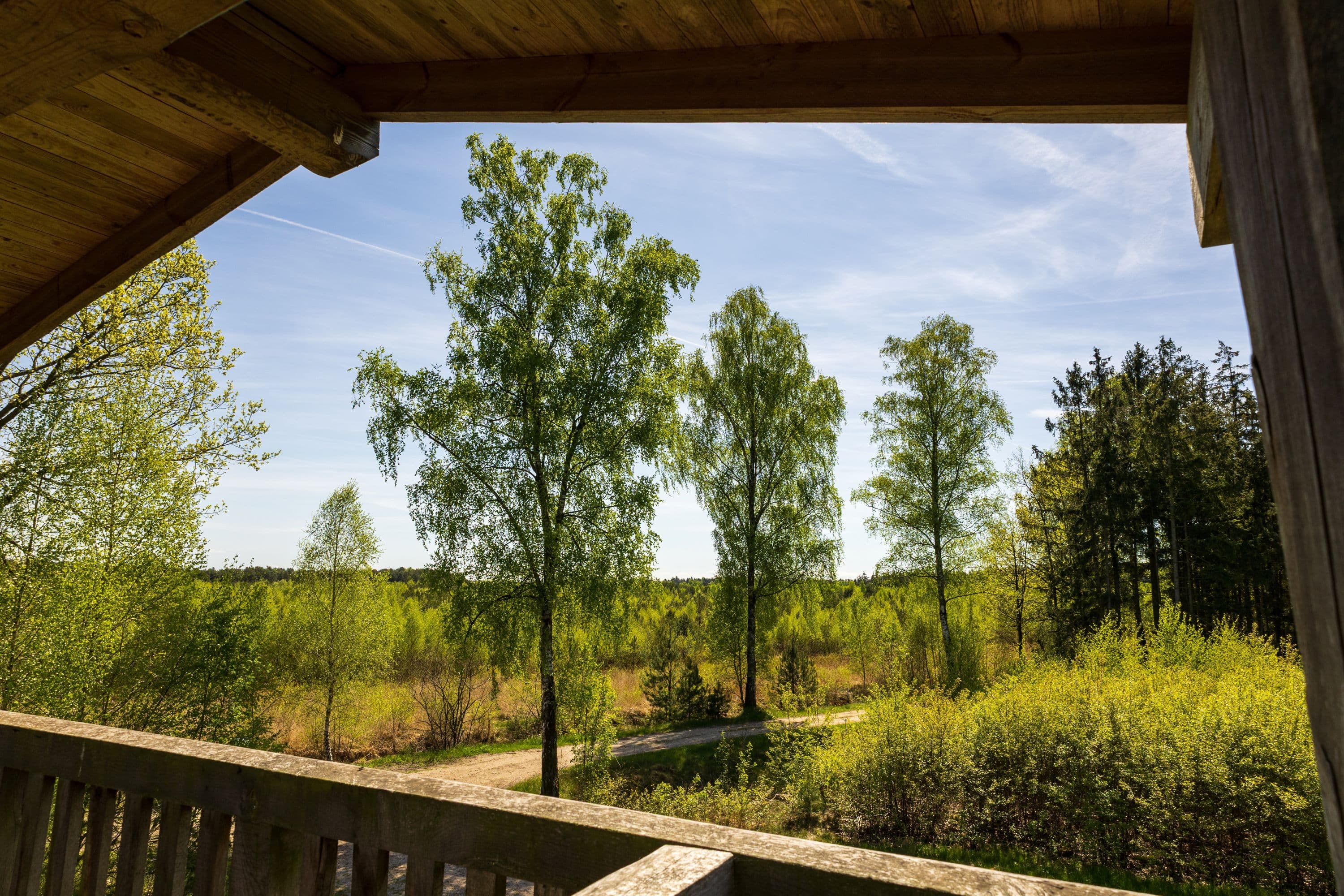 Blick vom Aussichtsturm im Becklinger Moor