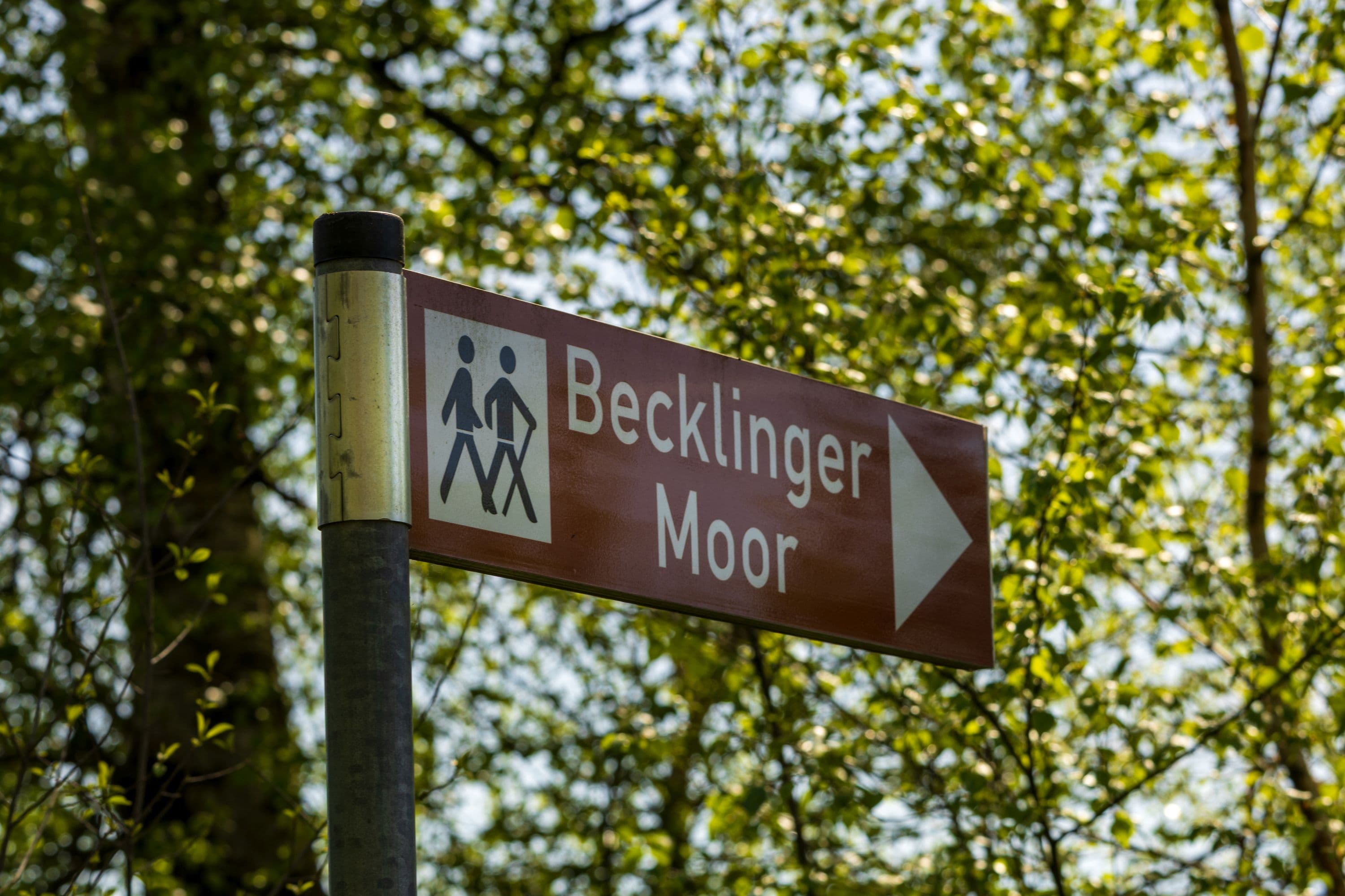Das Becklinger Moor bei Bergen