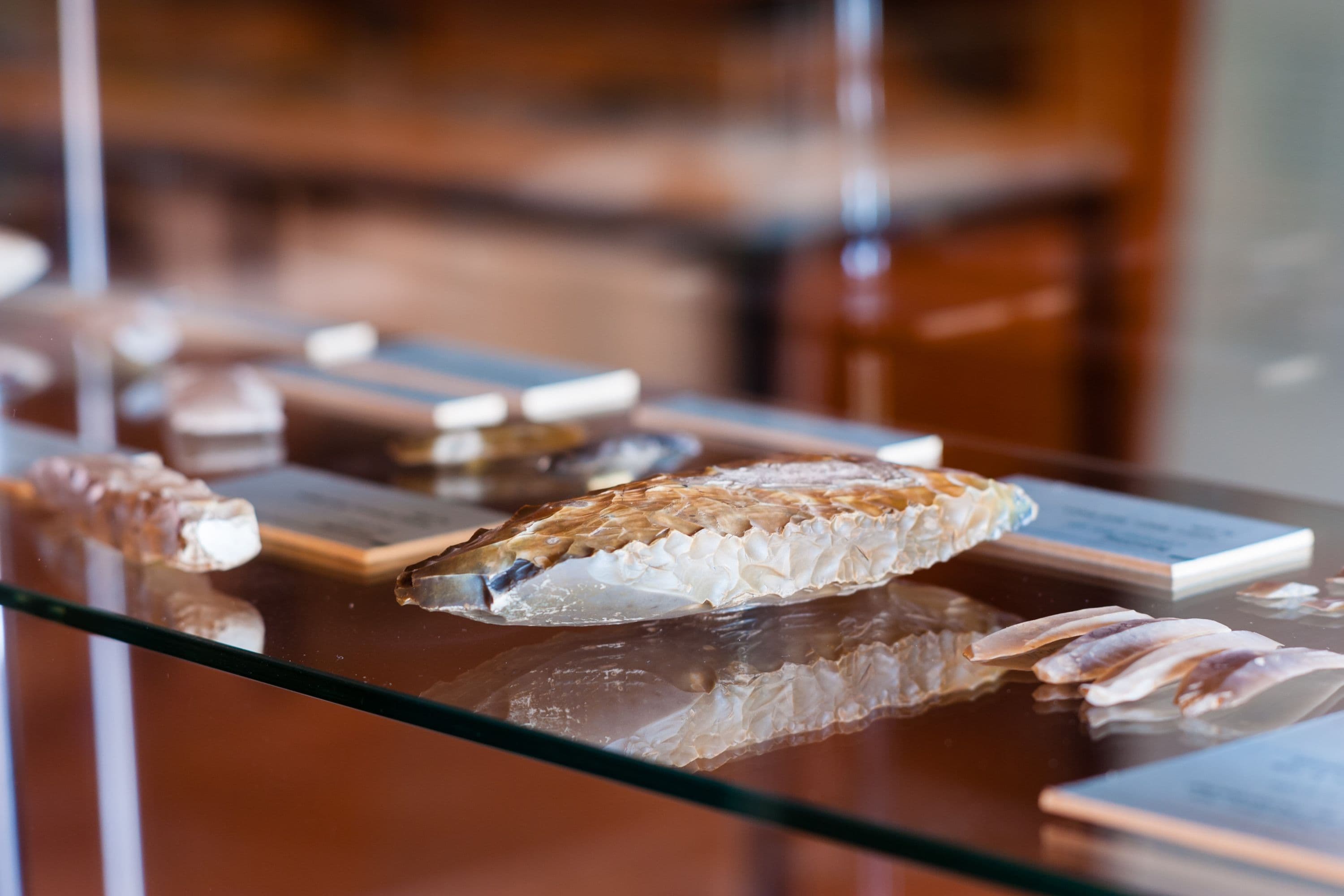 Ausstellungsstücke im Museum Römstedthaus in Bergen