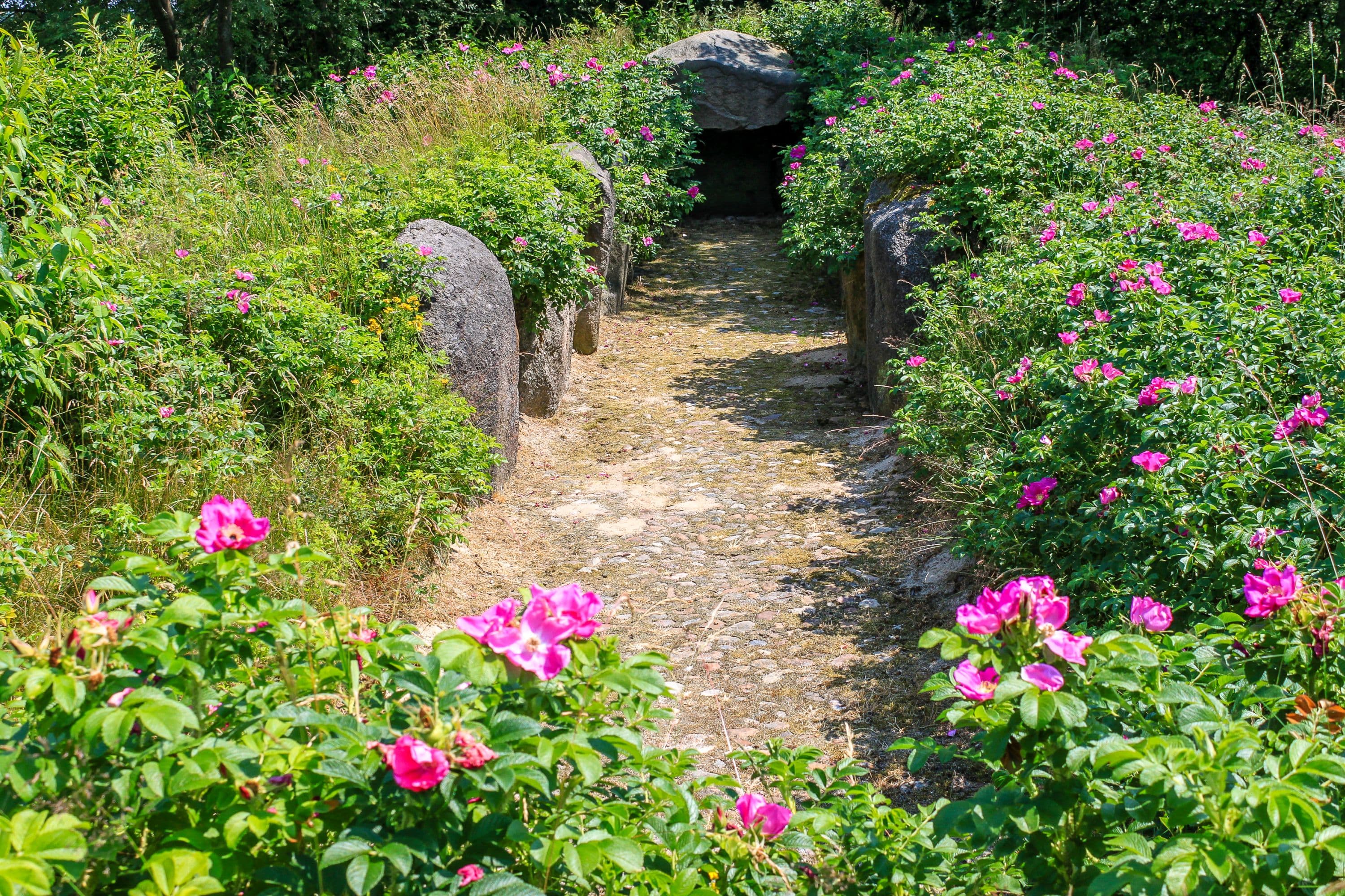 Großsteingrab bei Siddernhausen bei Bergen