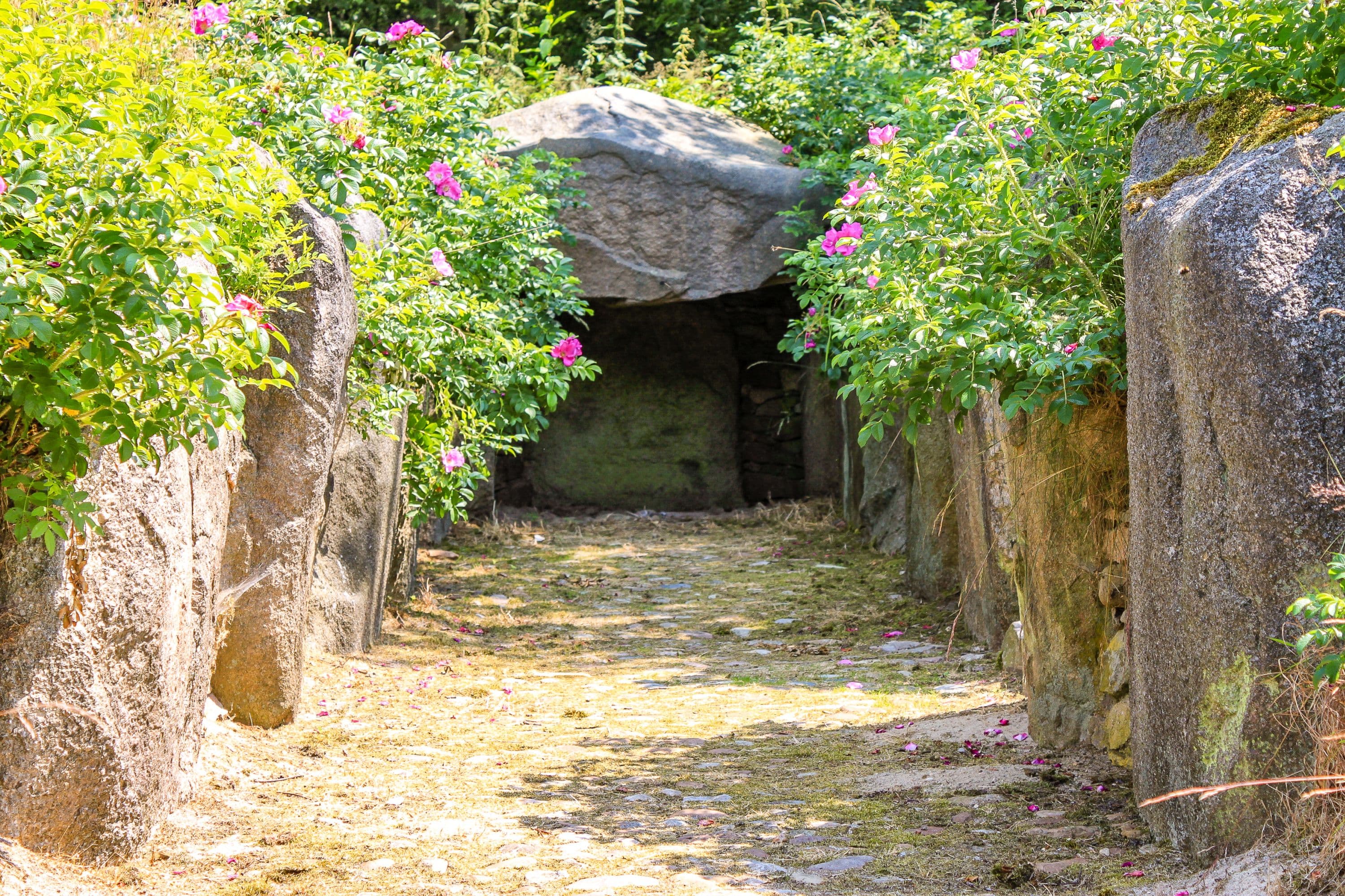 Großsteingrab bei Siddernhausen