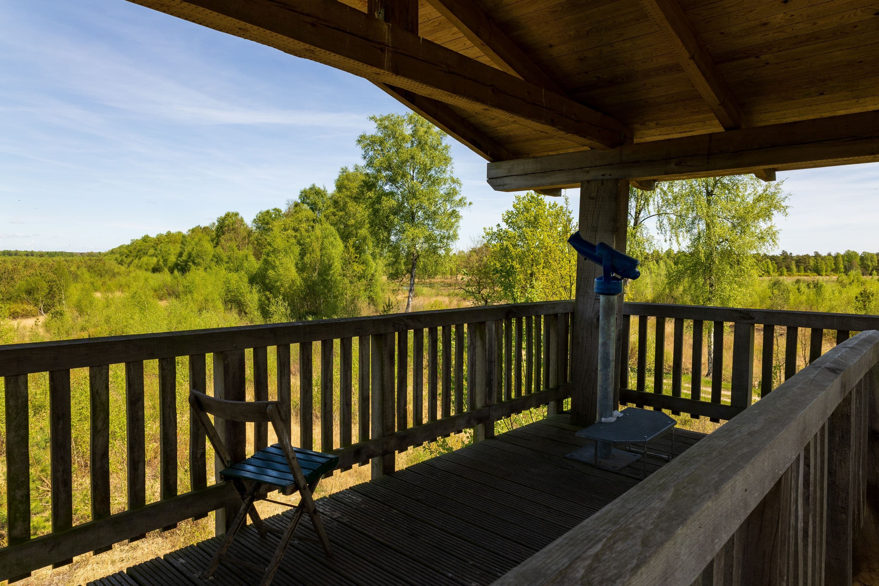Auf dem Aussichtsturm im Becklinger Moor