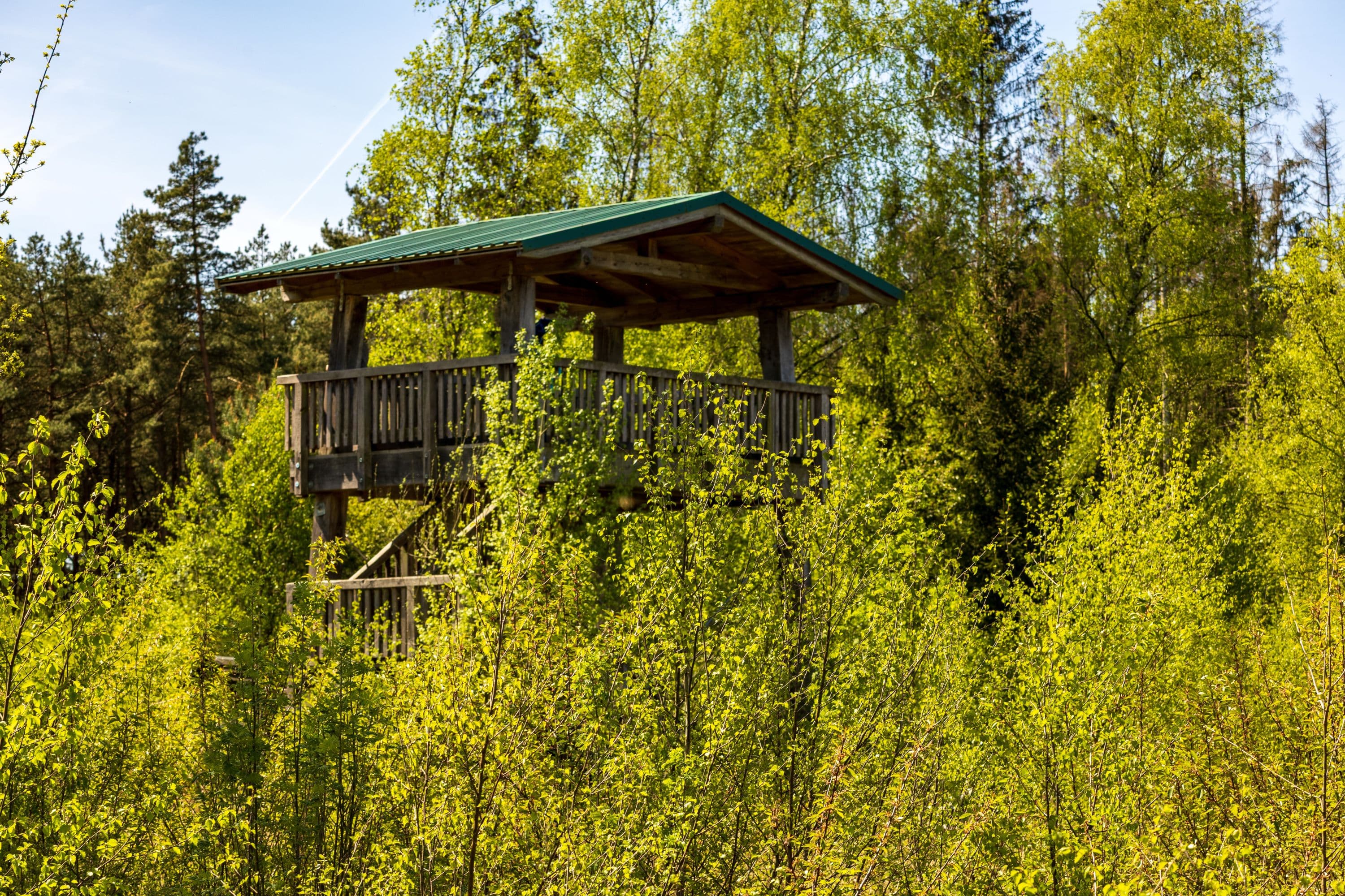 Der Aussichtsturm im Becklinger Moor