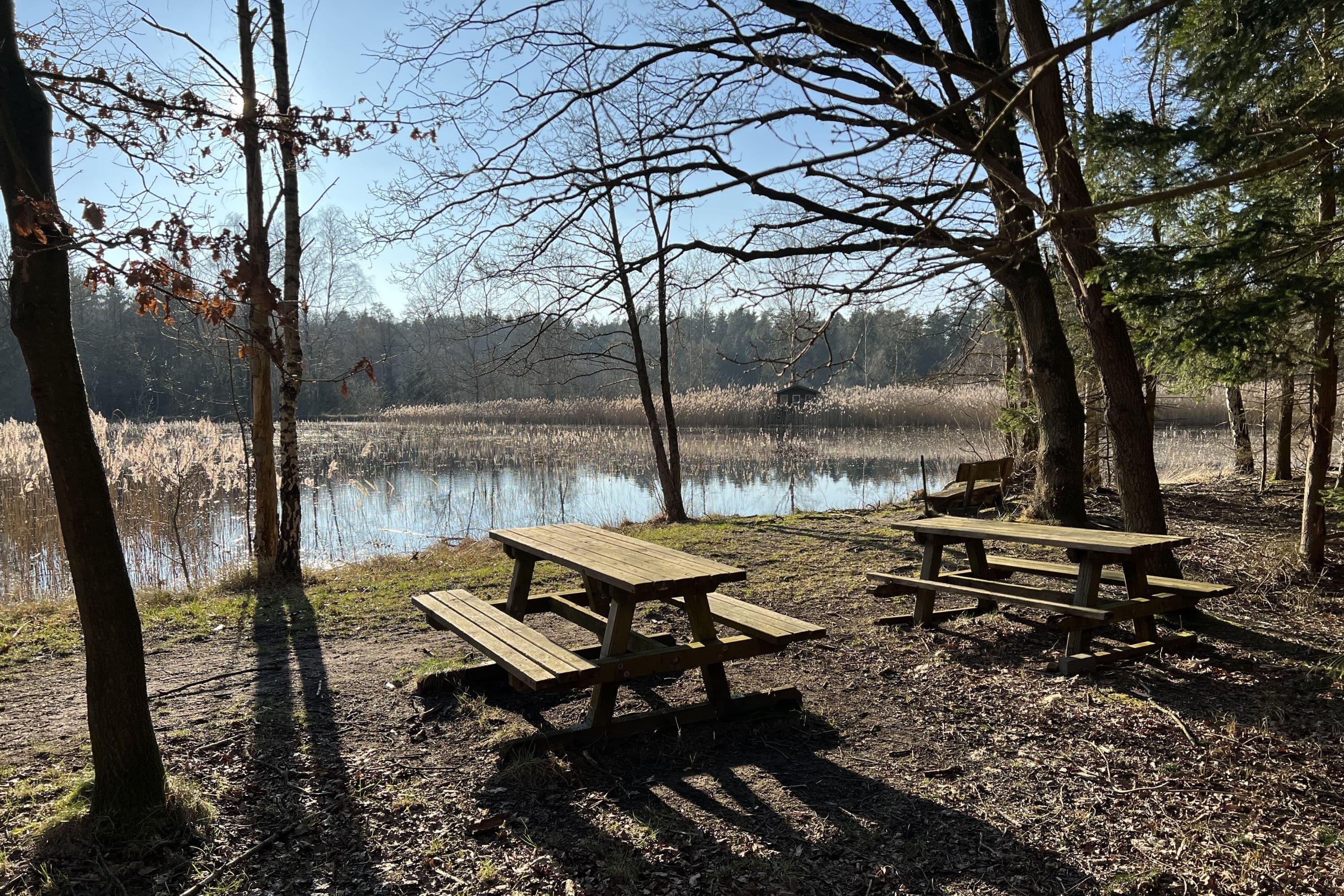 Picknickbänke in Eversen bei Bergen