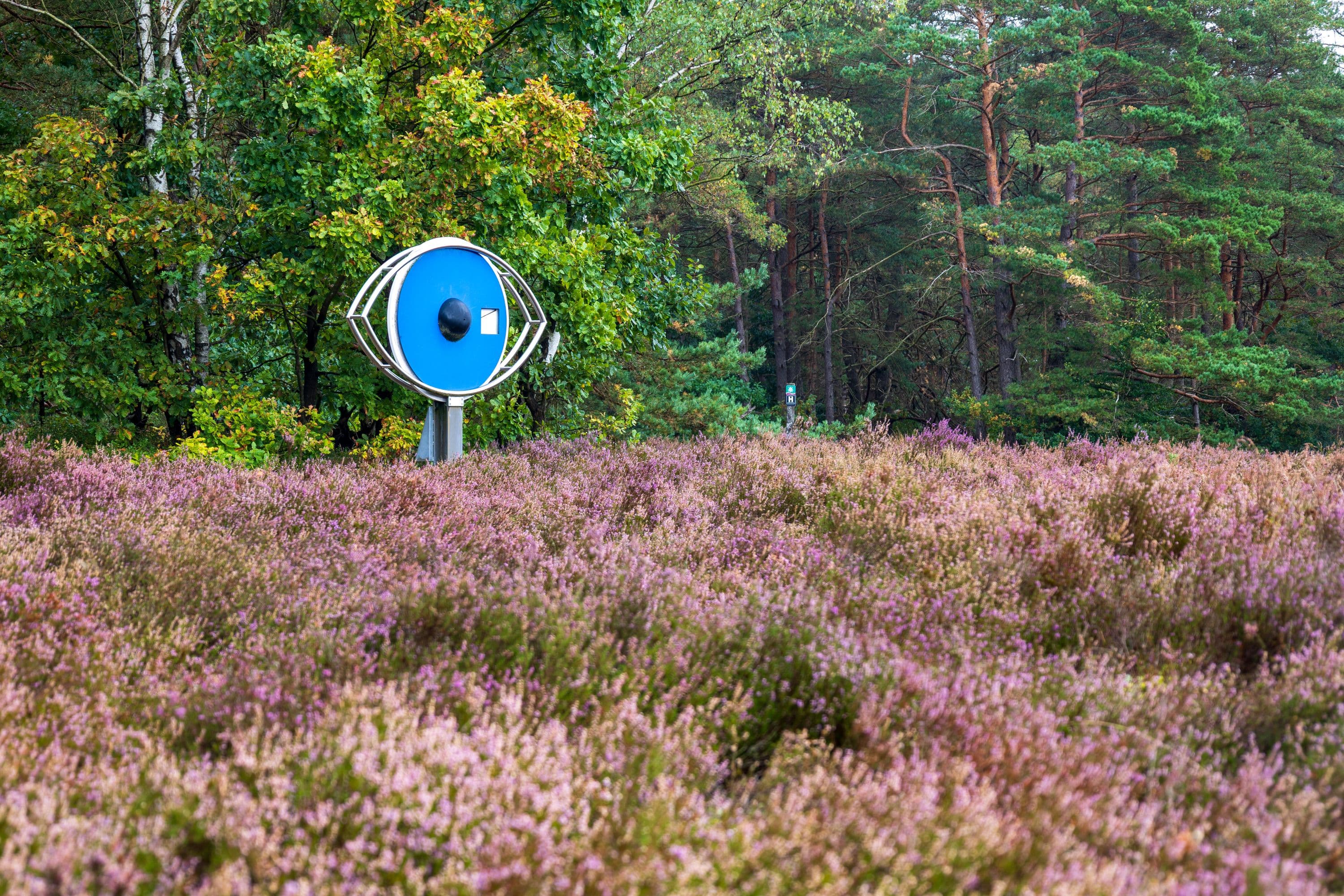 11.09.2025 Schilllohsberg