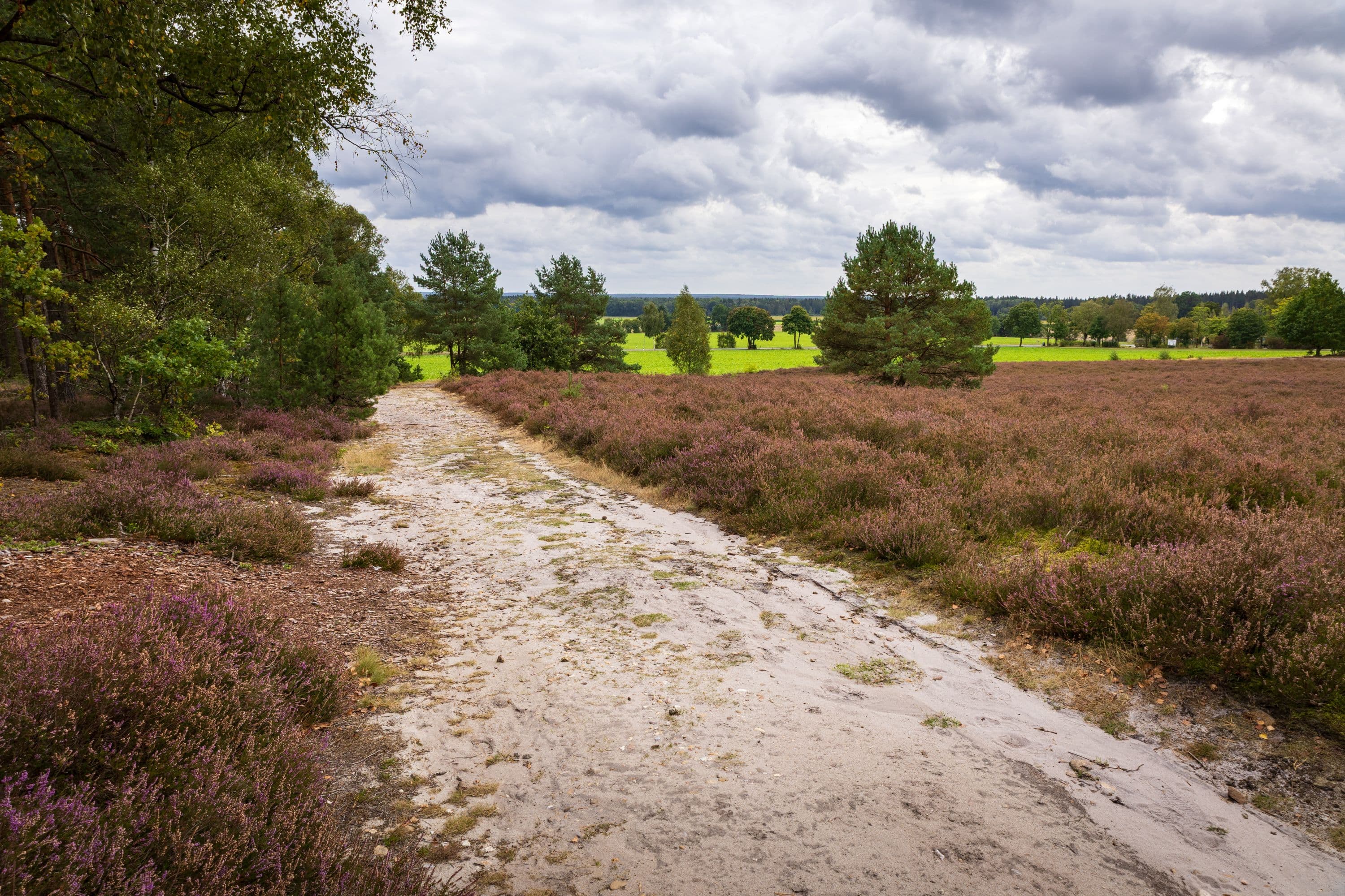 17.09.2025 Wietzer Berg bei Müden (Örtze)