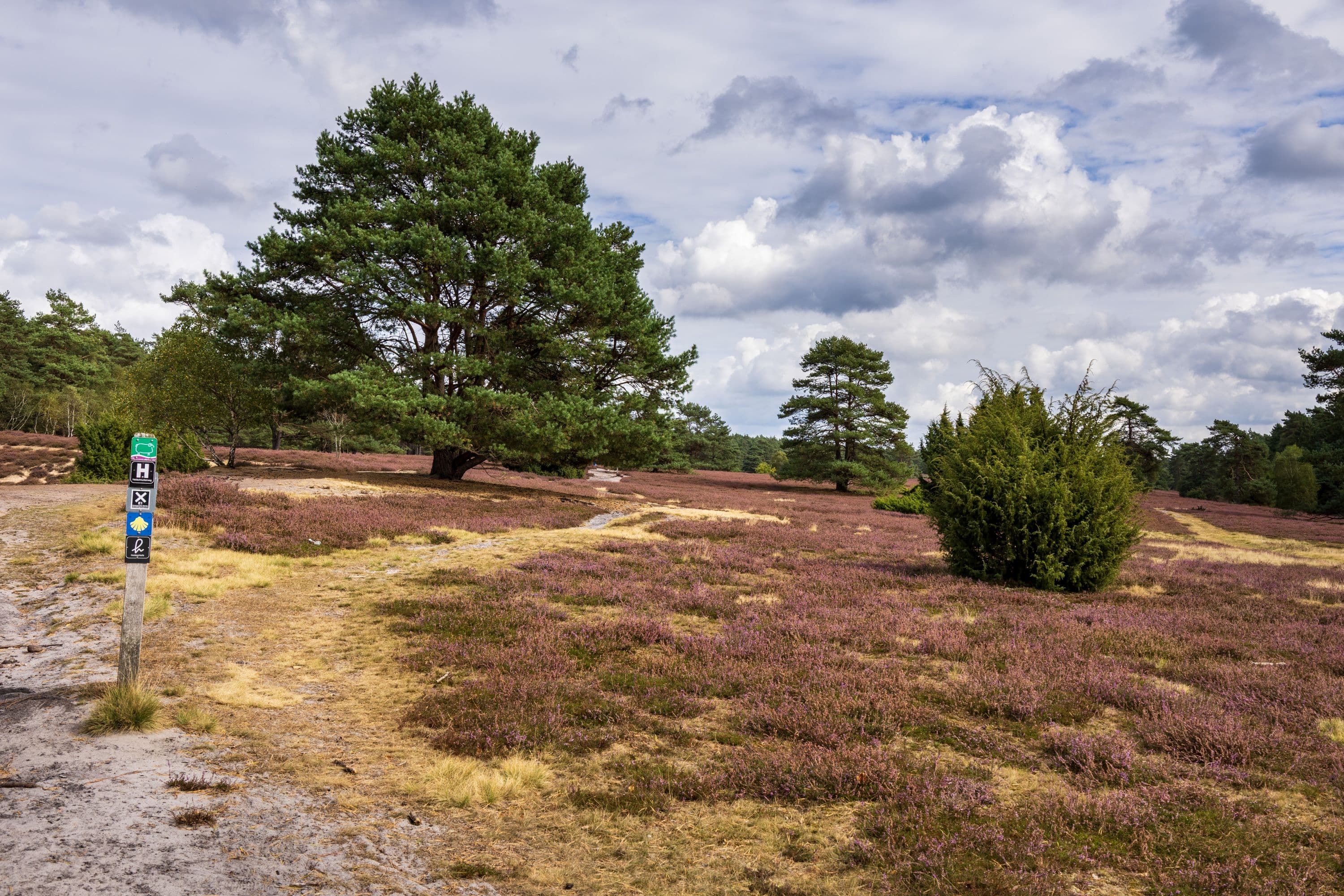 17.09.2025 Misselhorner Heide