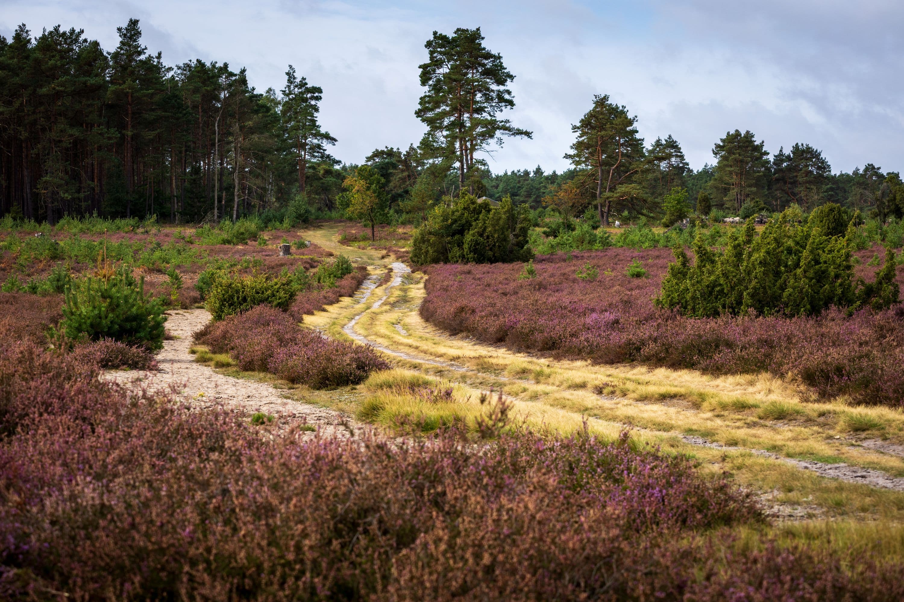 17.09.2025 Hausselberg
