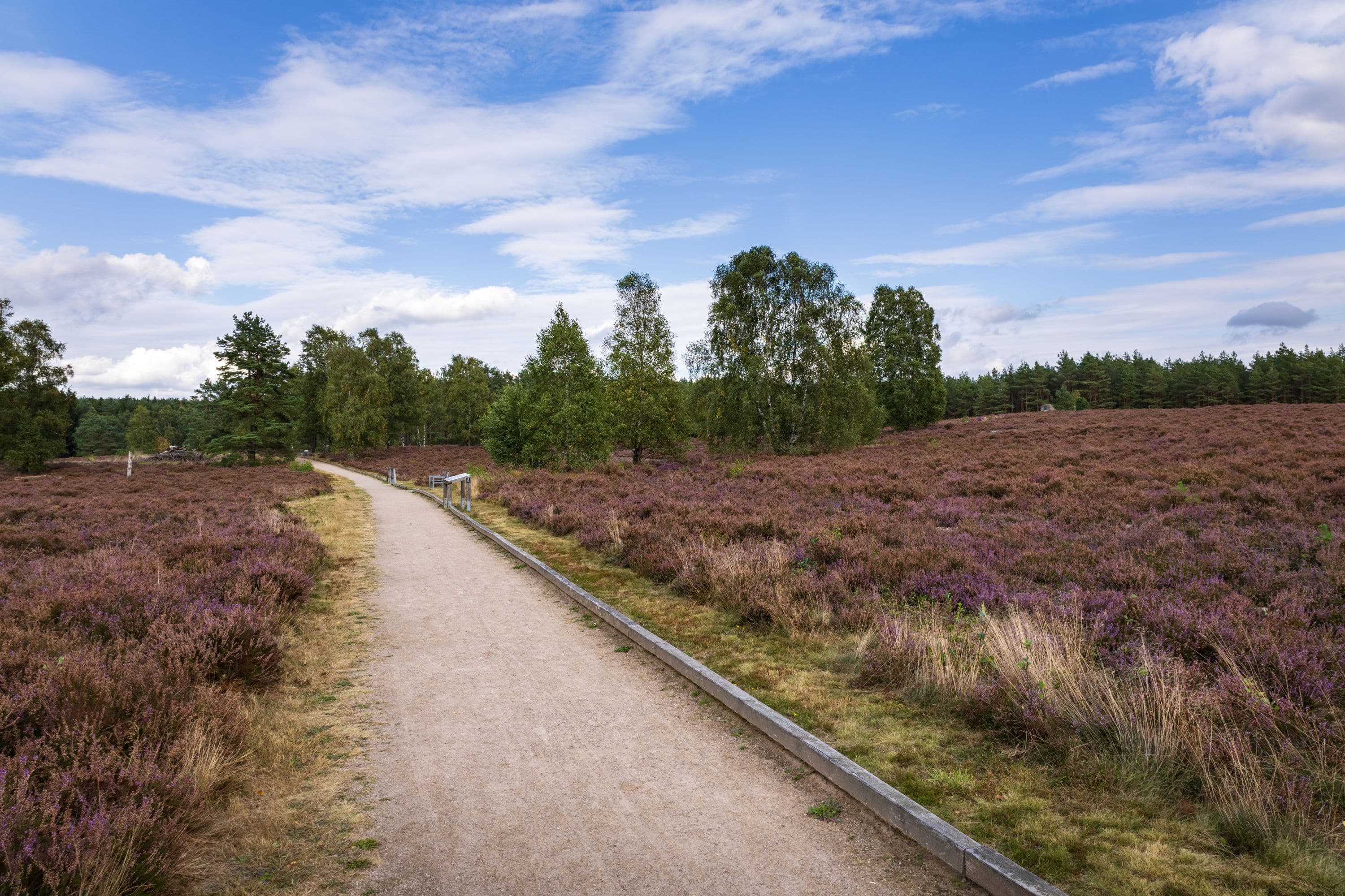 17.09.2025 Angelbecksteich