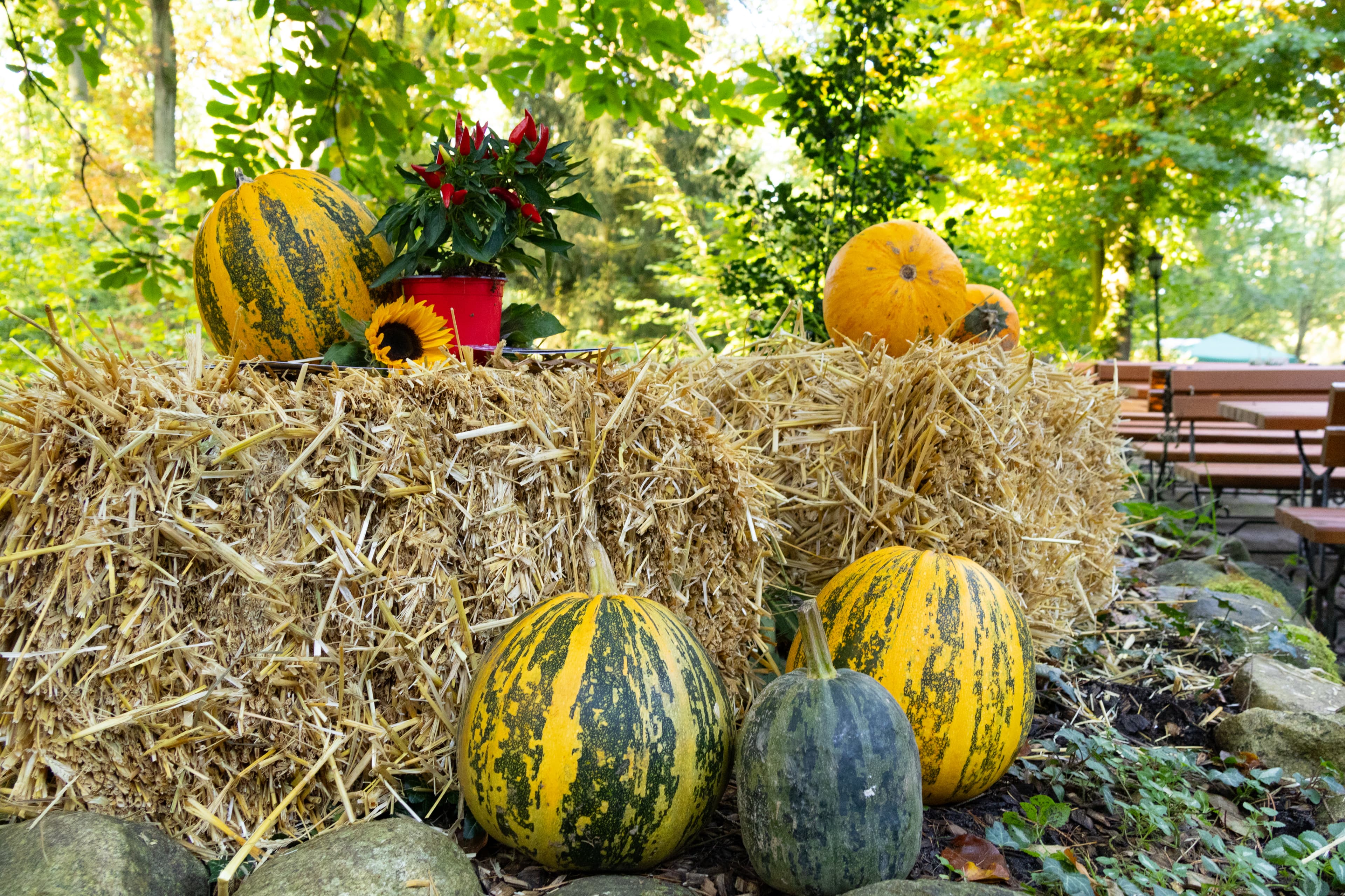Herbstdekoration auf einem Herbstmarkt in der Lüneburger Heide