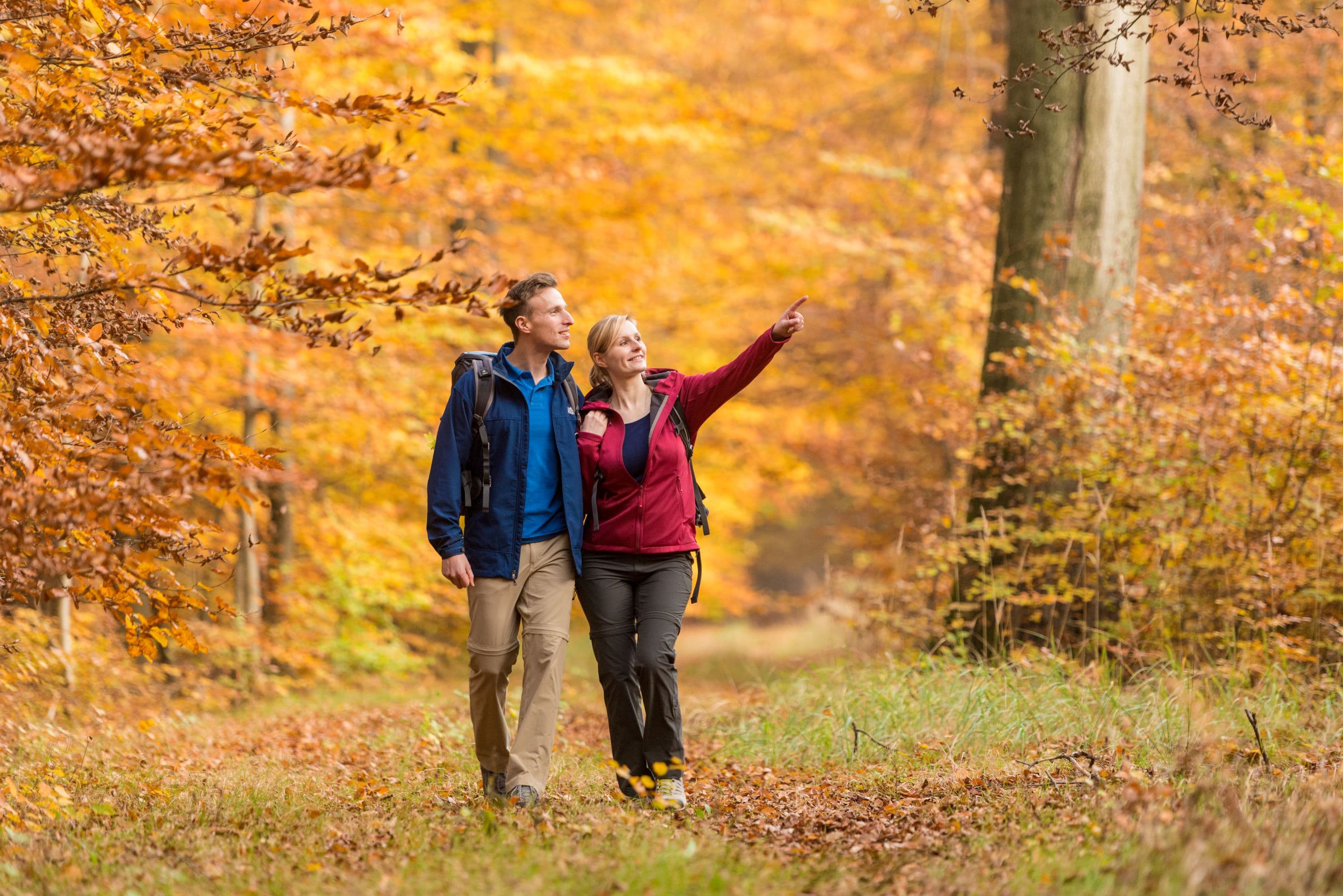 zwei menschen wandern durch einen herbstlich gefärbten laubwald